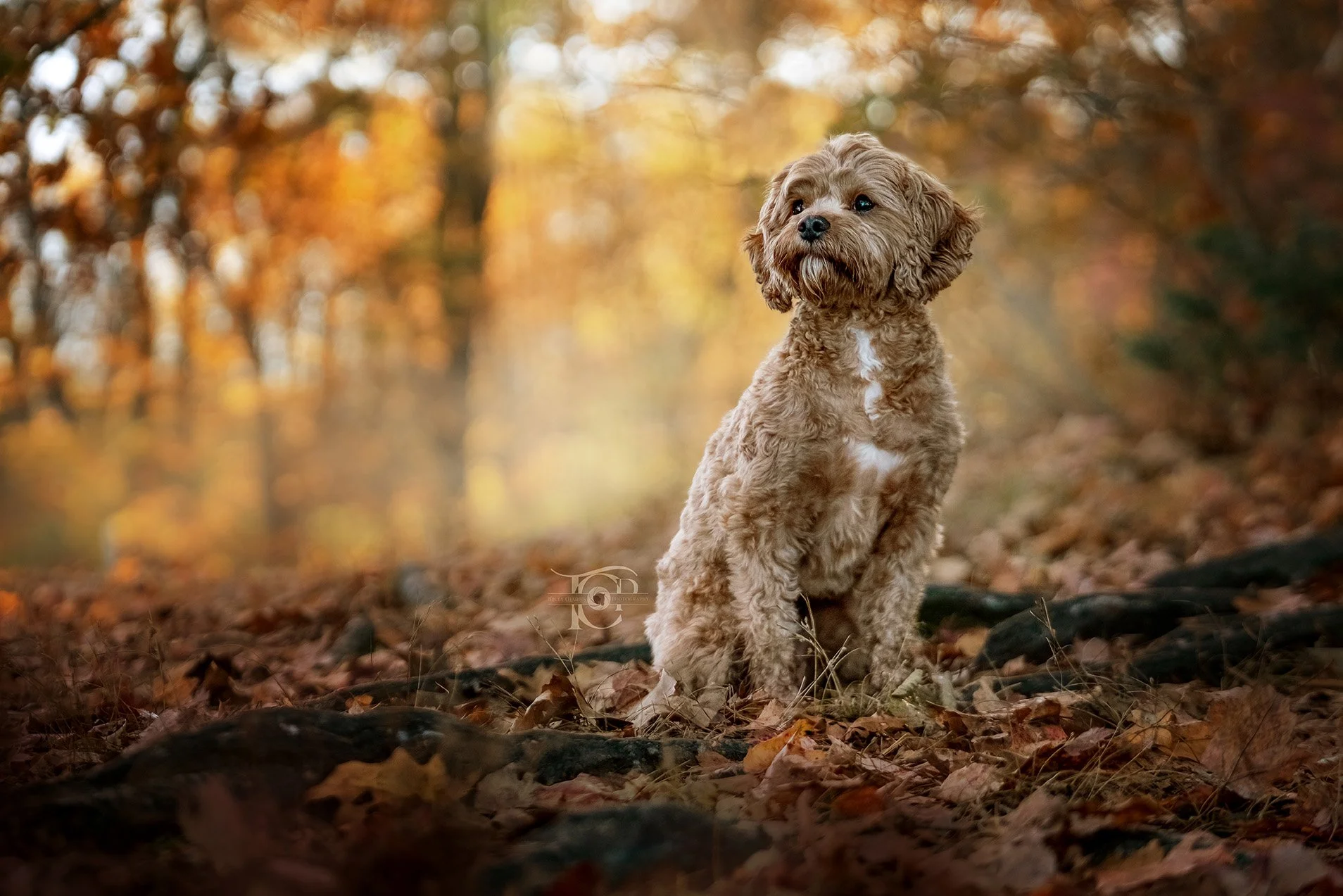 Sydney & Khloe-139-Edit-18.jpg