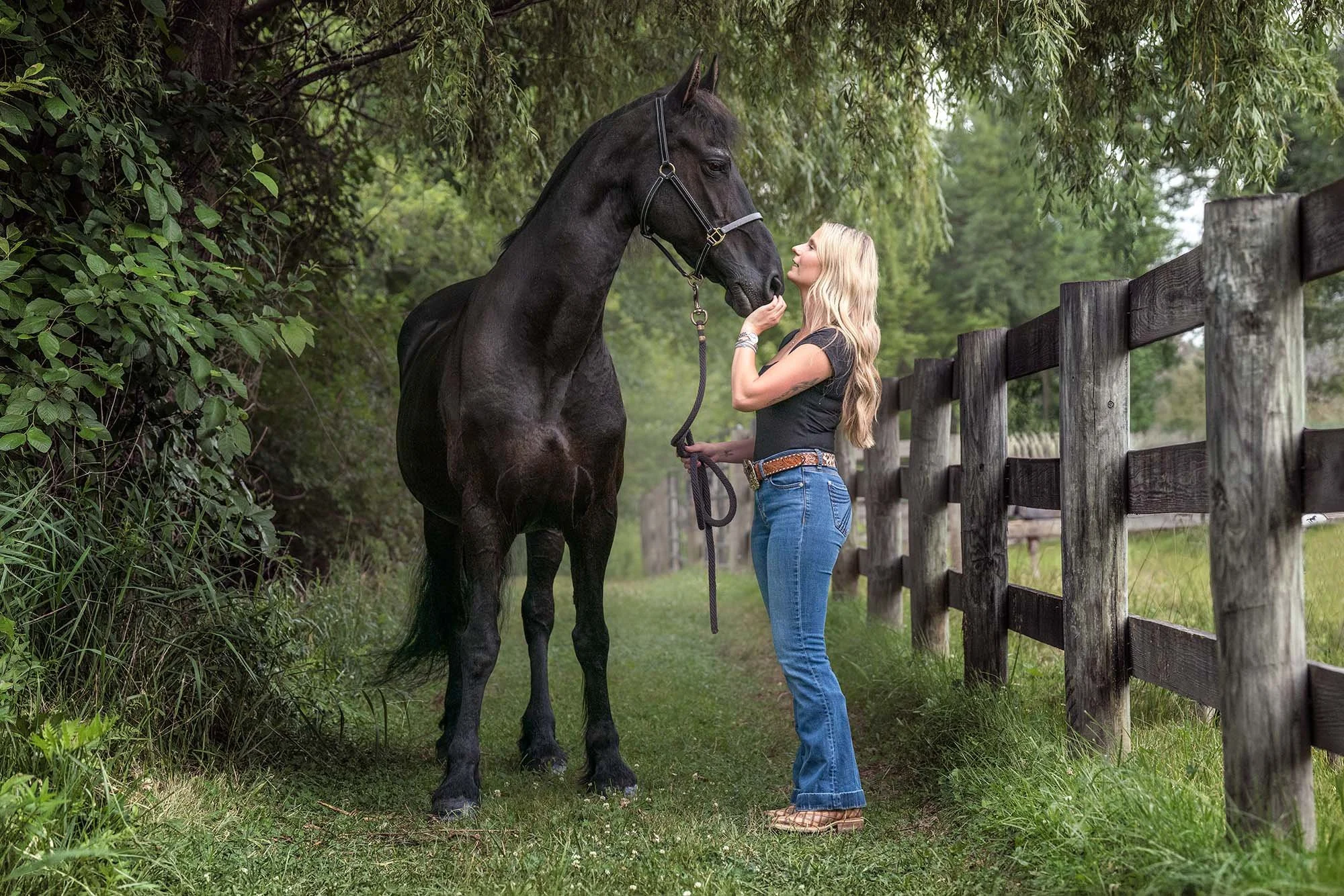girl and black horse standing under will tree looking at each other
