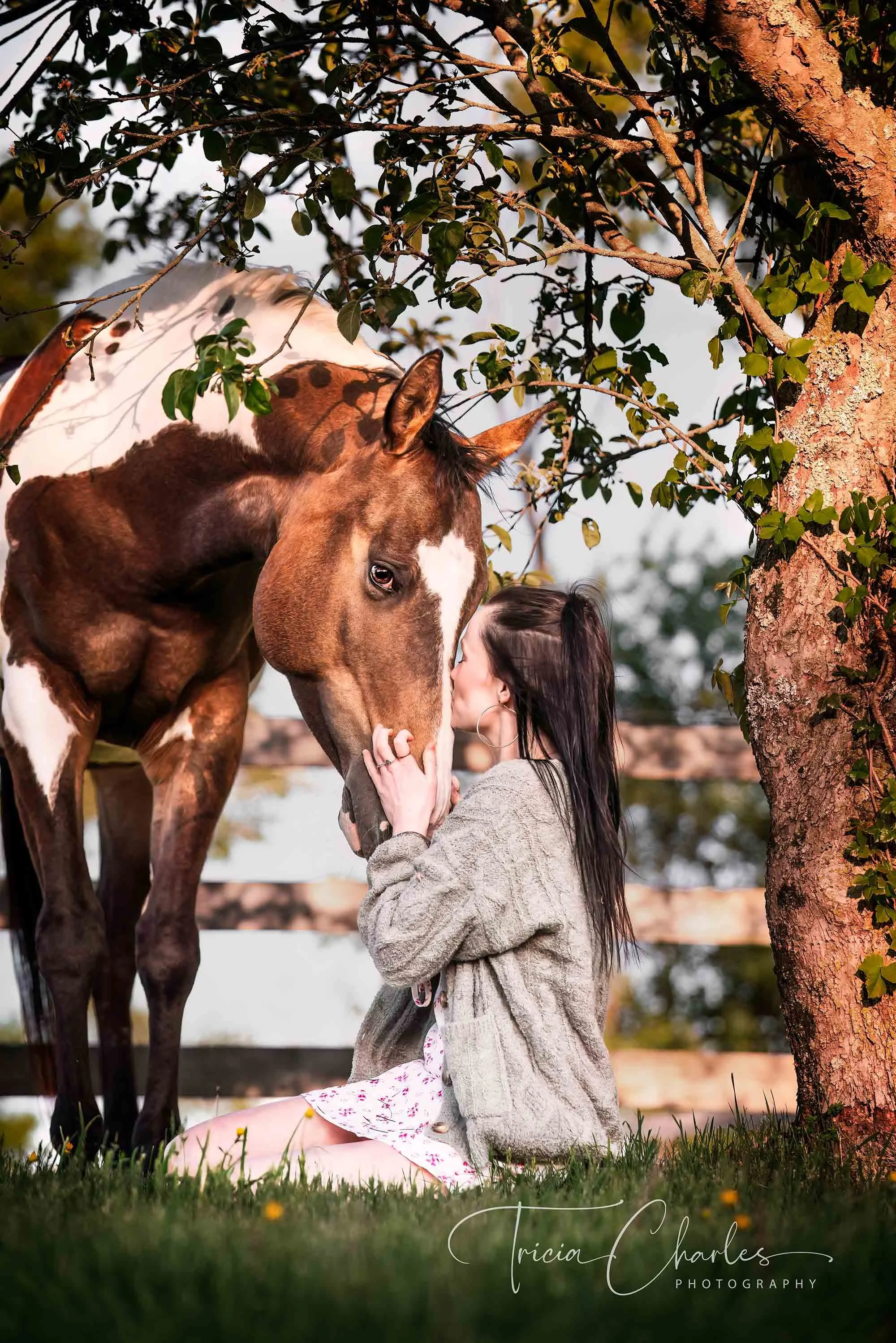 A young woman sitting on the grass, holding a brown and white horse's face as they touch noses. They are outdoors near a tree with green leaves, and the scene is lit with warm sunlight.