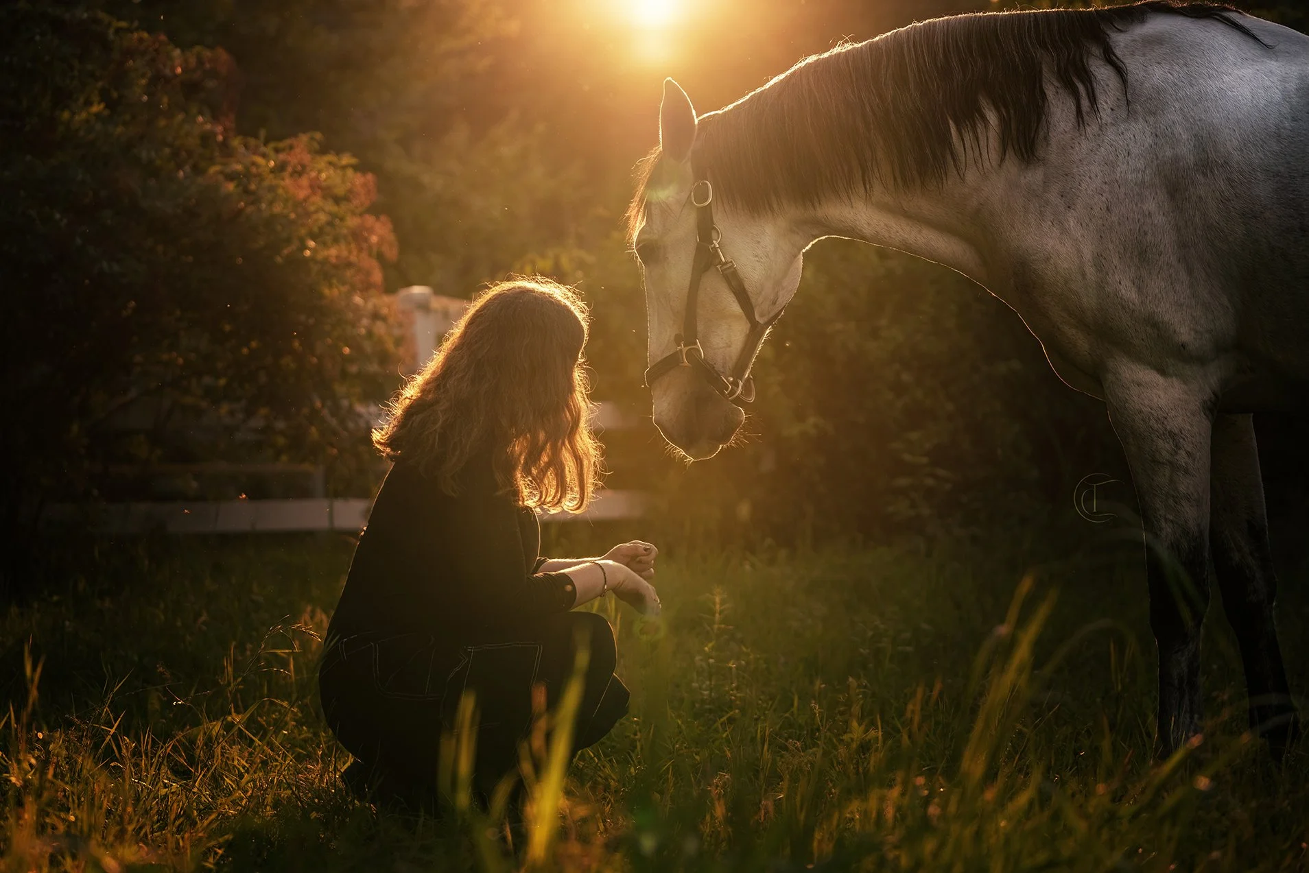 girl knelt in front of her horse at golden hour