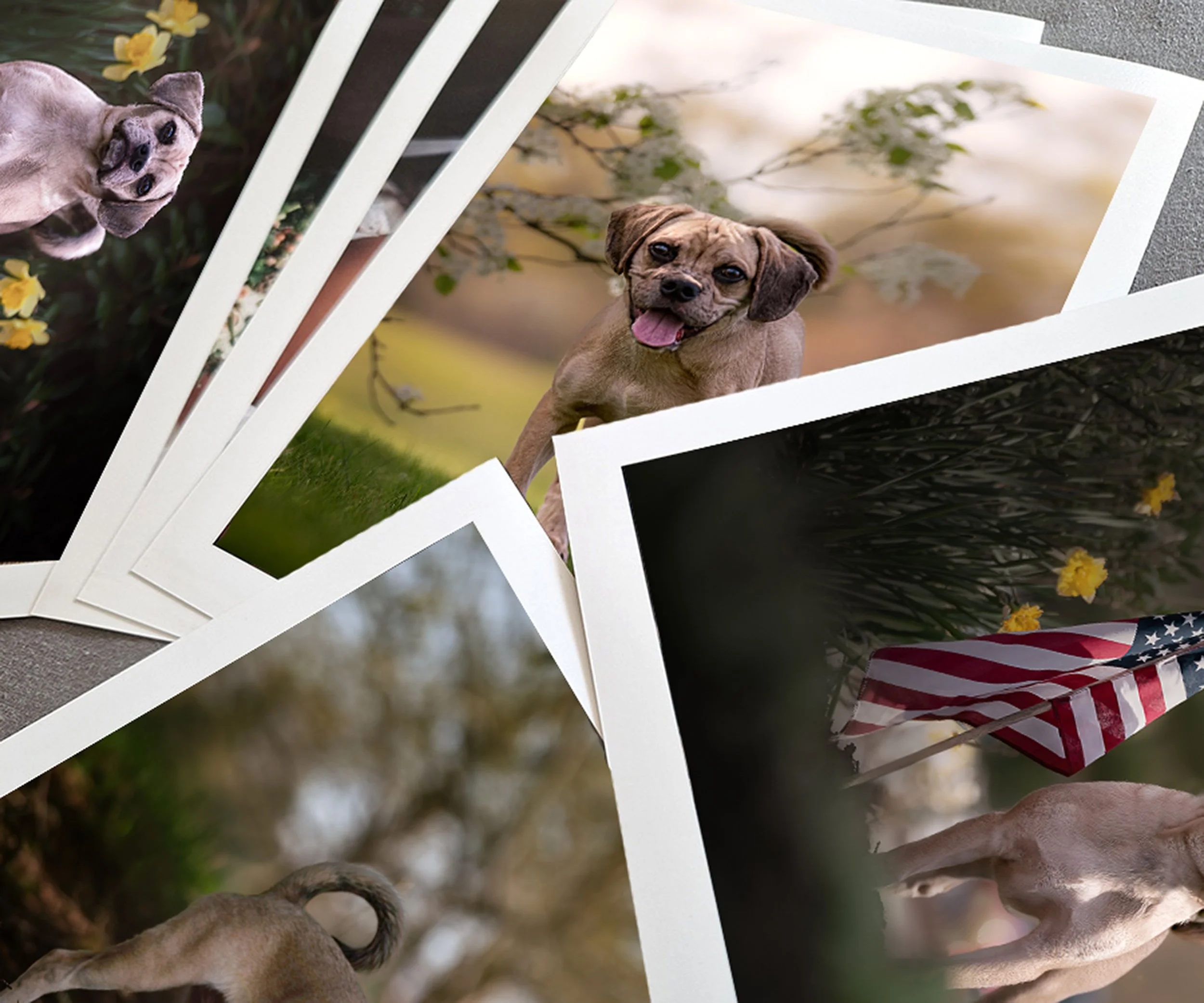 Request my Product Guide for more details and pricing.