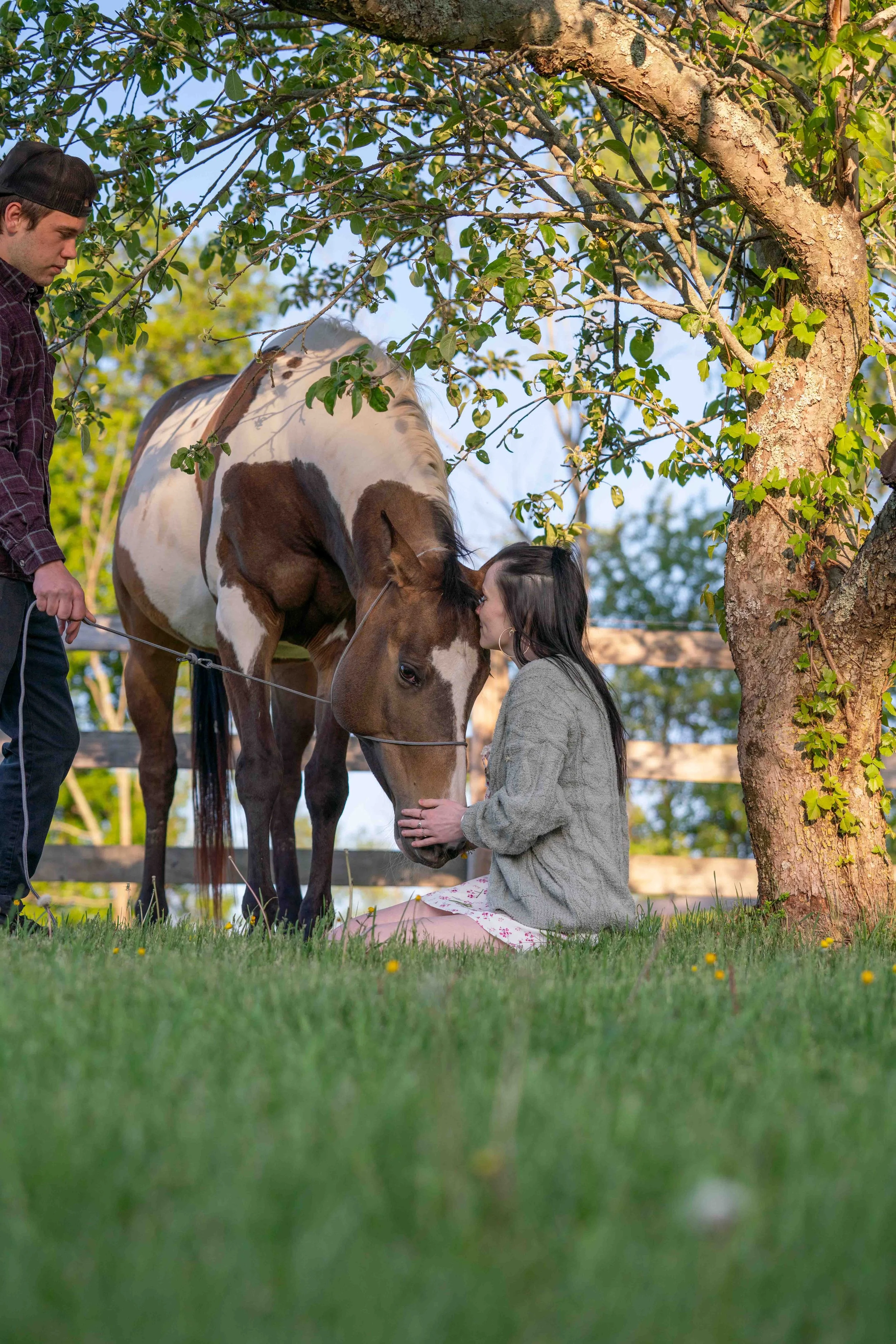 A woman sitting on grass under a tree, touching noses with a brown and white horse, while a man stands nearby holding the horse's reins.