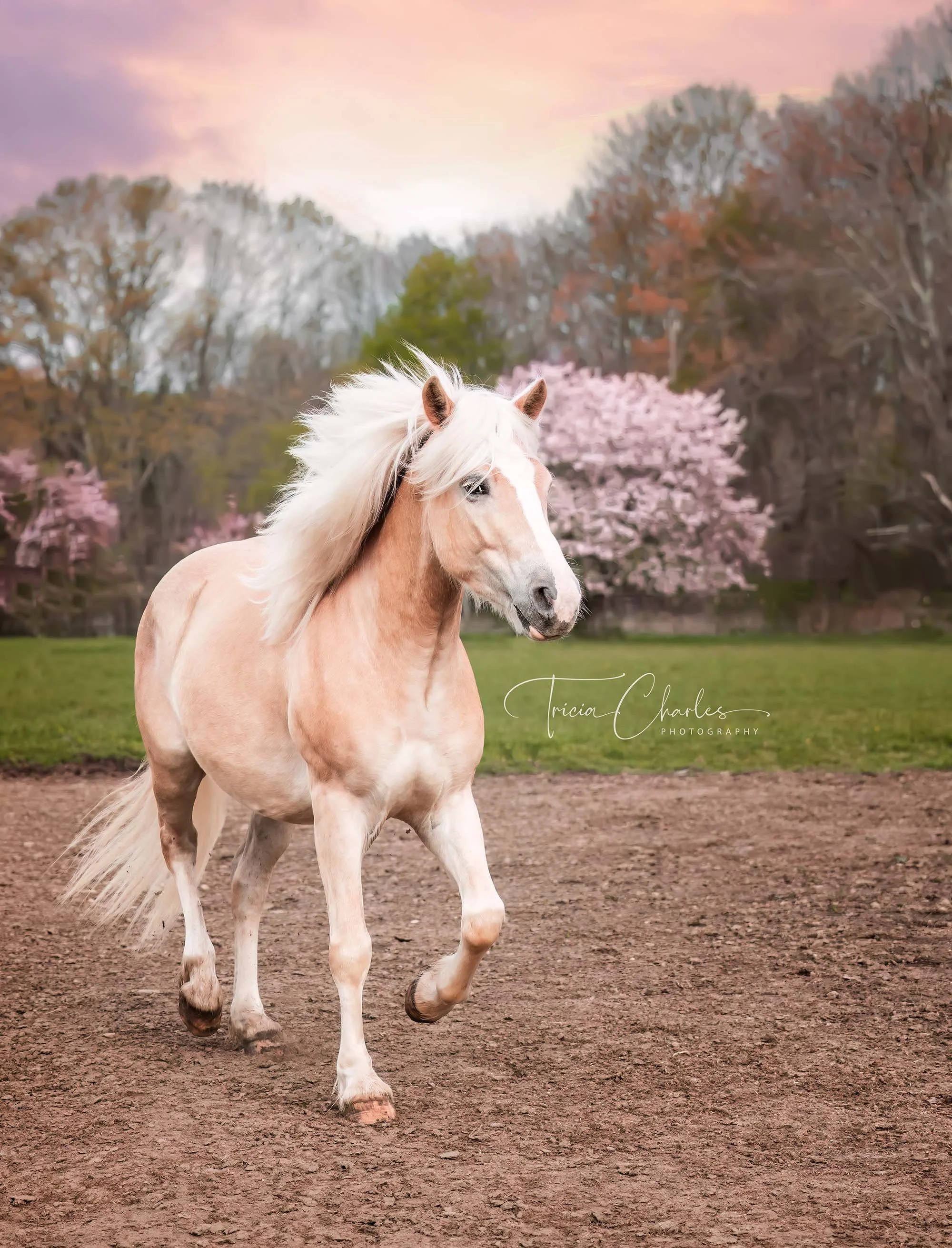 Bear & Indiana-180-Edit.jpg