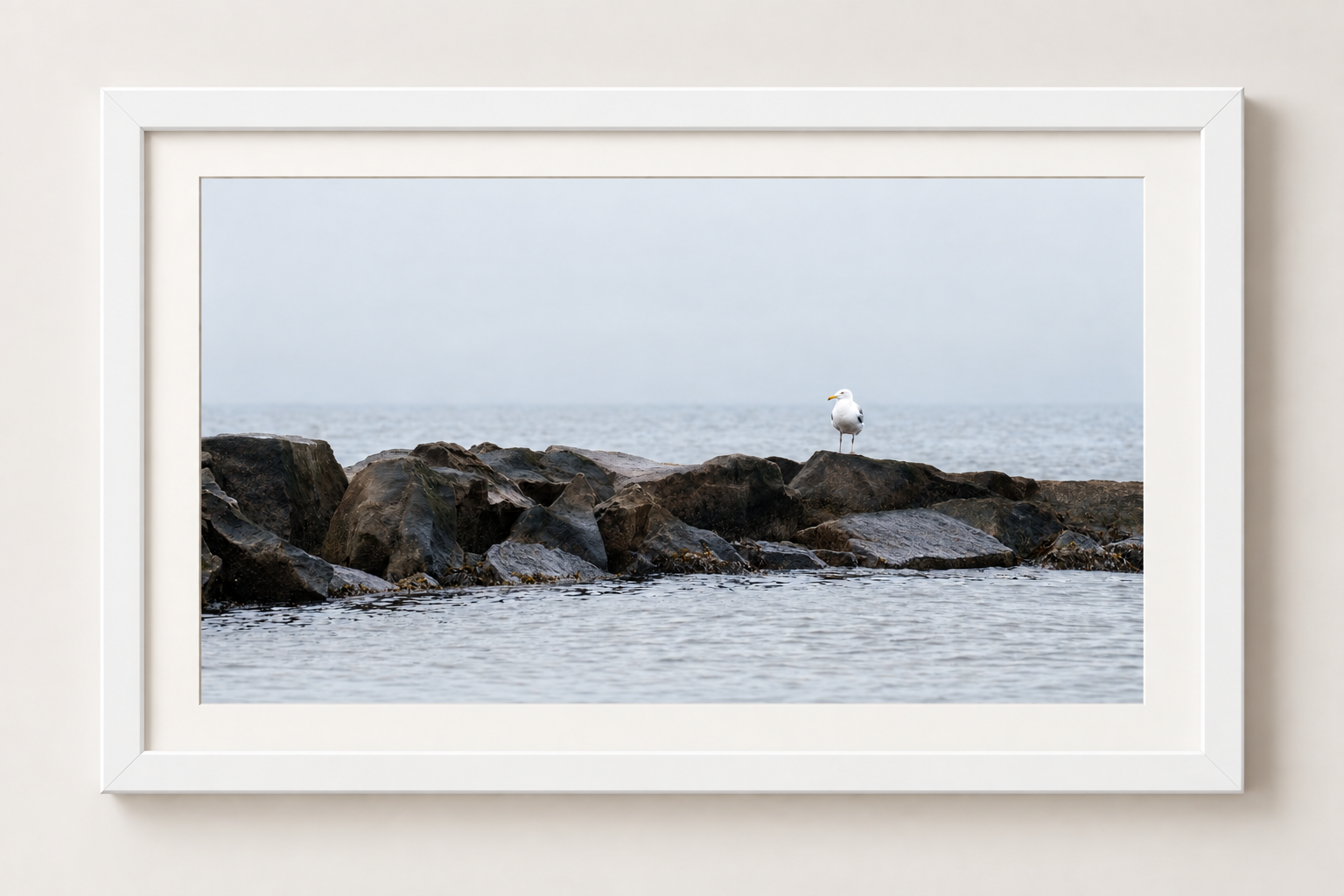 seagull-white.png