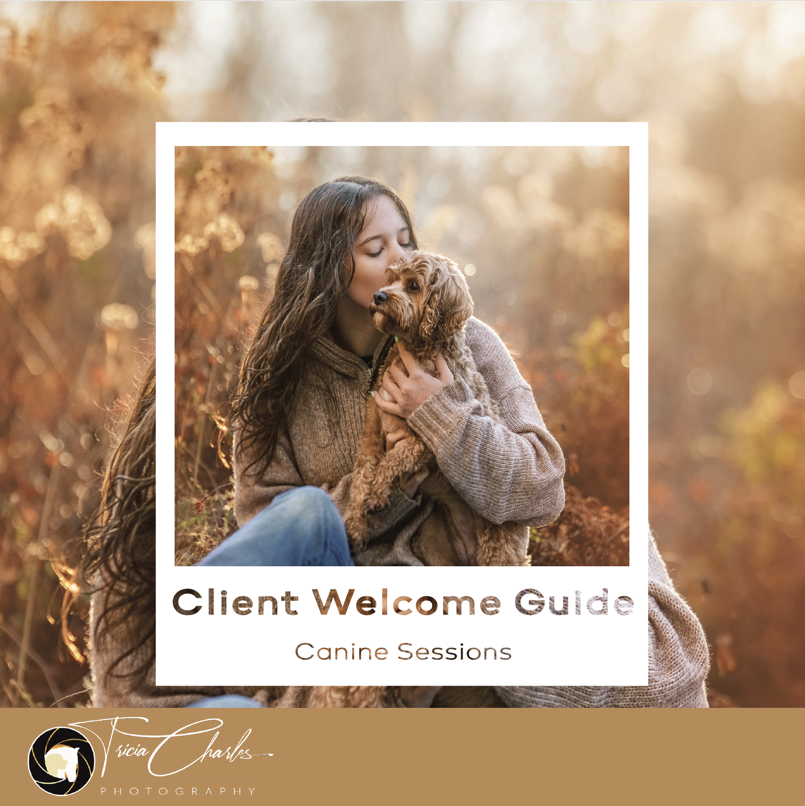 two golden retrievers sitting on a boardwalk at sunrise