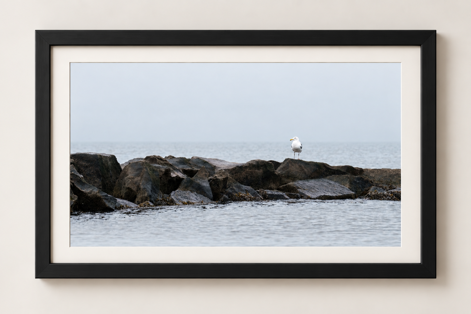 seagull-black.png