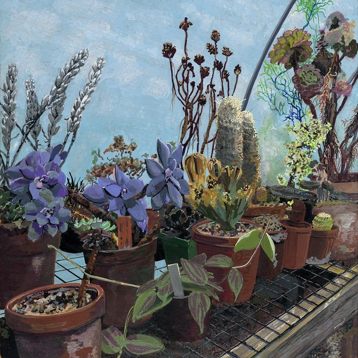 Succulents in May, 2025, acrylic / ink on 12x12" panel SOLD 