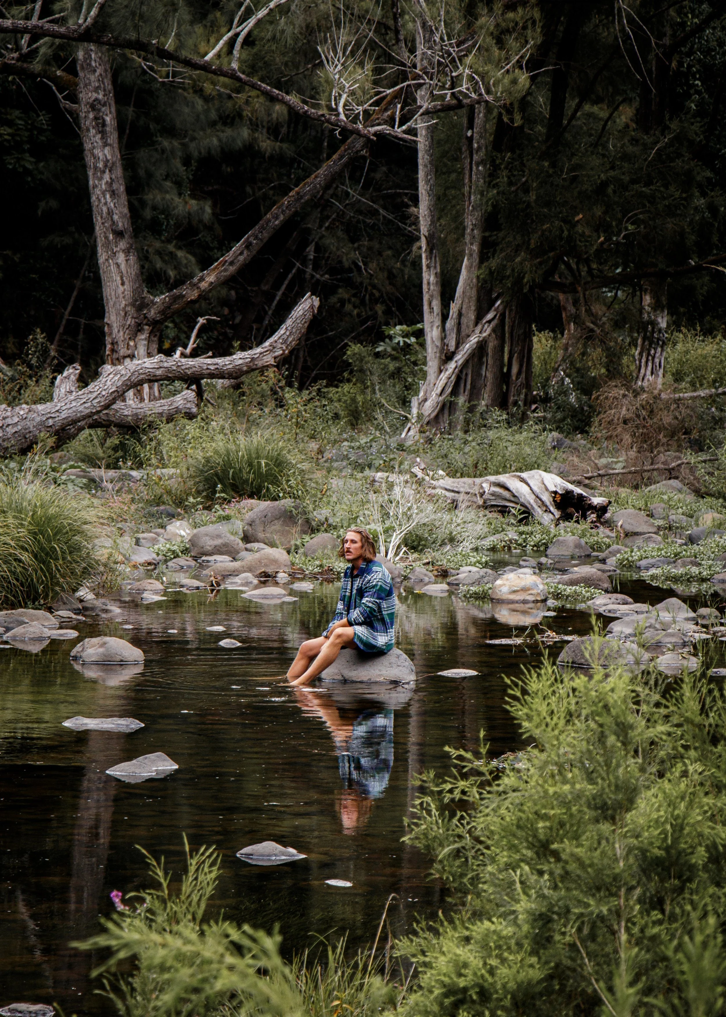 A man sitting on a large rock in a calm, shallow creek surrounded by lush greenery and tall trees in a forest setting.