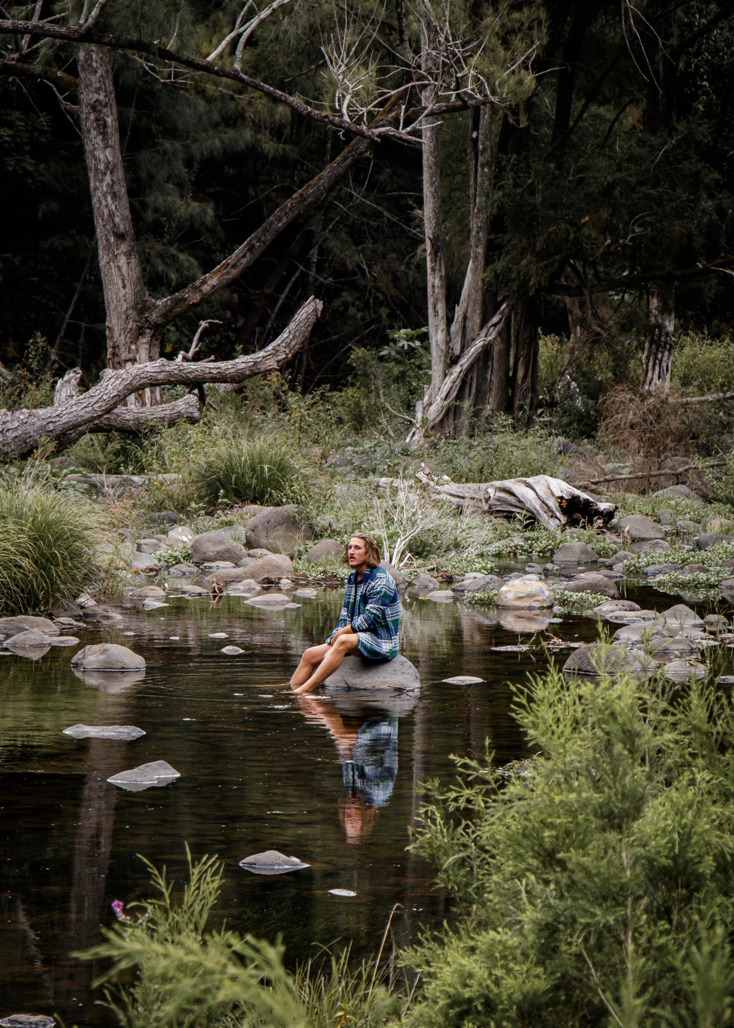 A person sitting on a rock in a shallow river surrounded by trees and greenery in a forest.