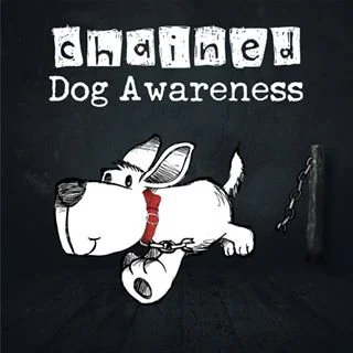 chained-dog-awareness-nz.jpg