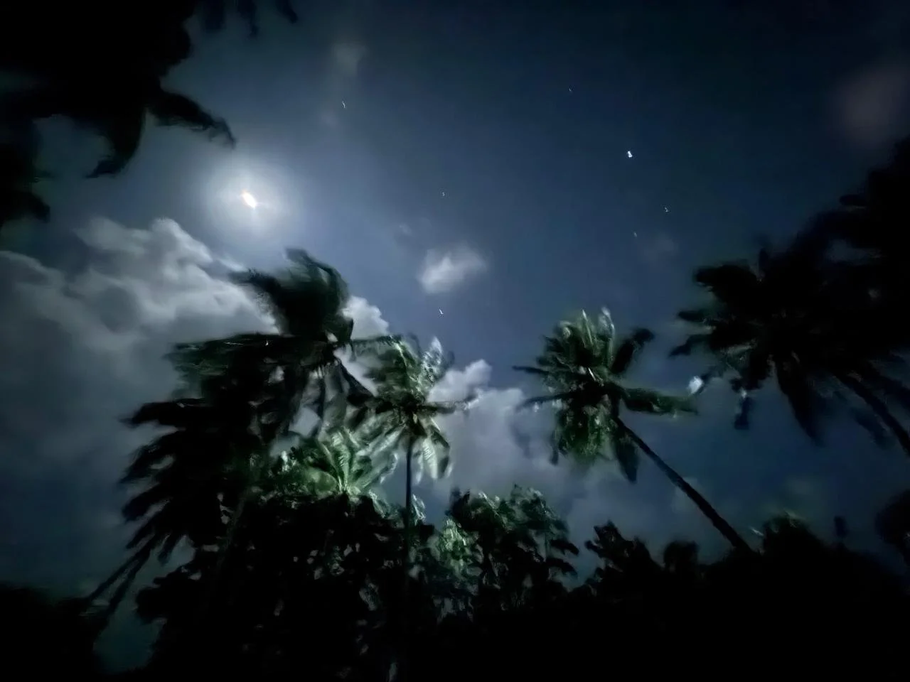 Nighttime scene with coconut palm trees silhouetted against a cloudy sky illuminated by the moon and stars.