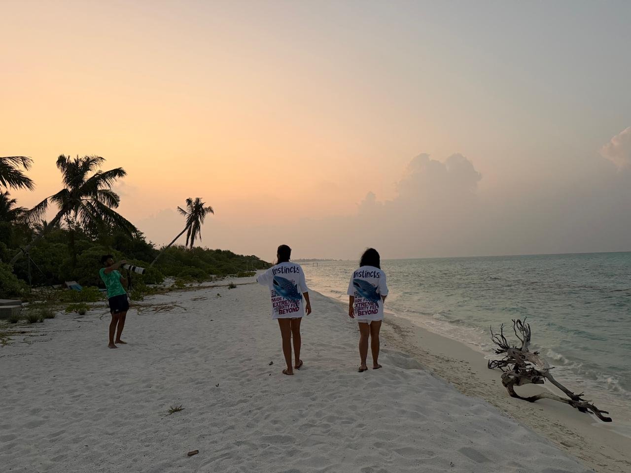 People walking on a sandy beach with palm trees and driftwood, during sunset over the ocean.
