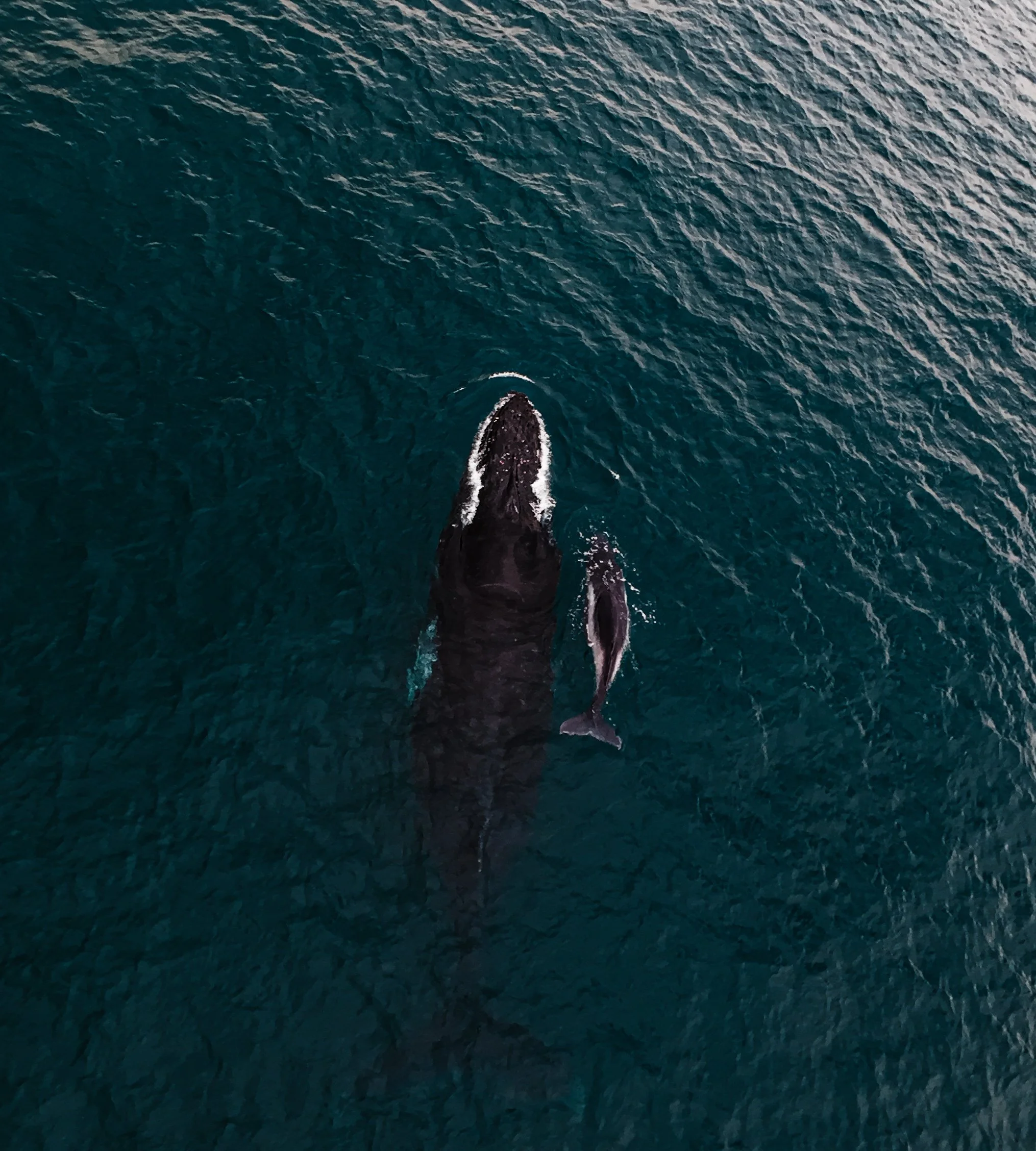 dji_fly_20260723_112436_0075_1784812702487_photo.jpg