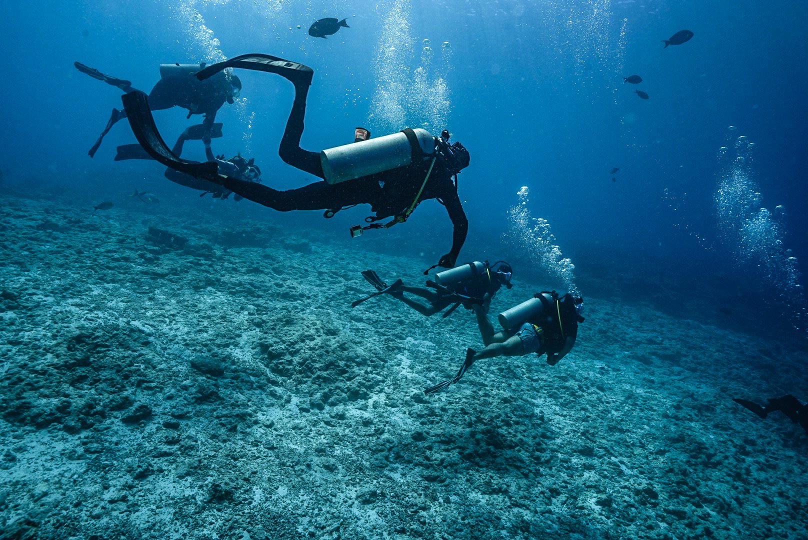 Divers over the reef, Fuvahmulah