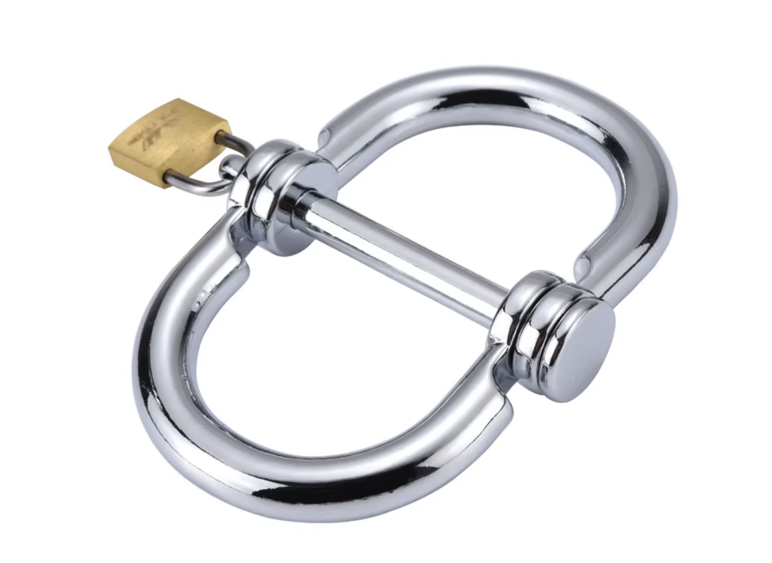 Image 2-25-26 at 10.31 PM (1).png