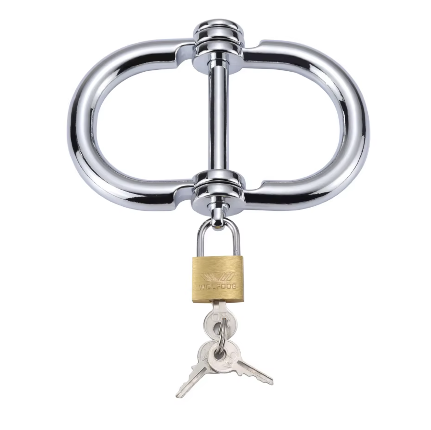 Image 2-25-26 at 10.30 PM.png