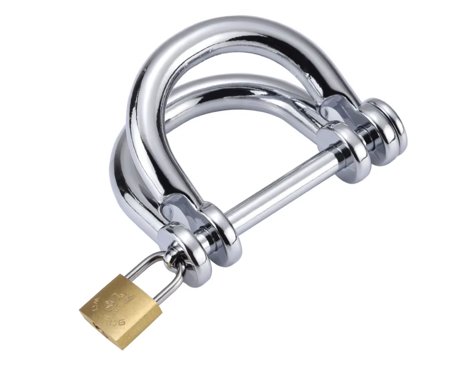 Image 2-25-26 at 10.31 PM.png