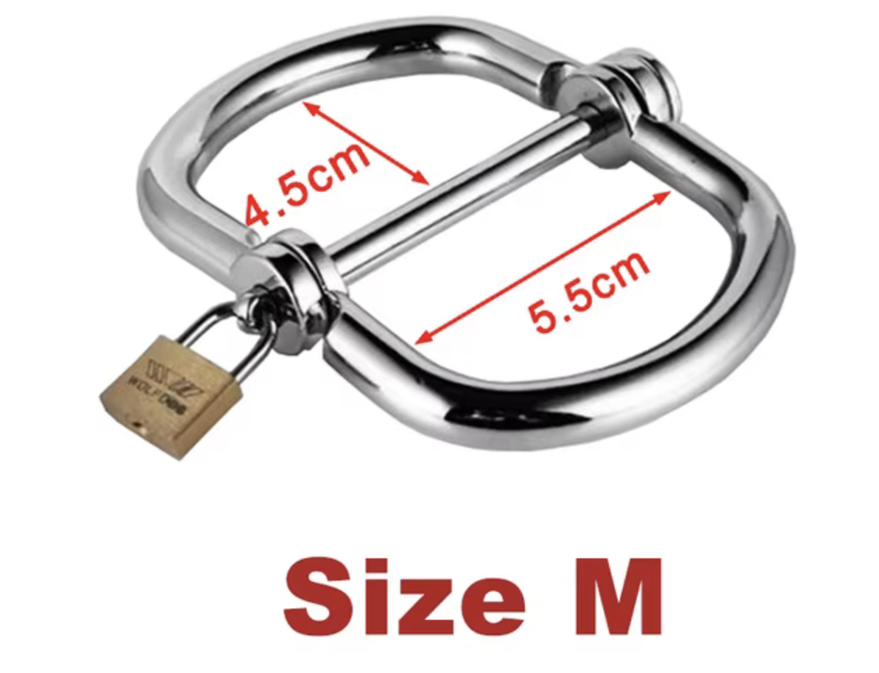 Image 2-25-26 at 10.34 PM (2).png