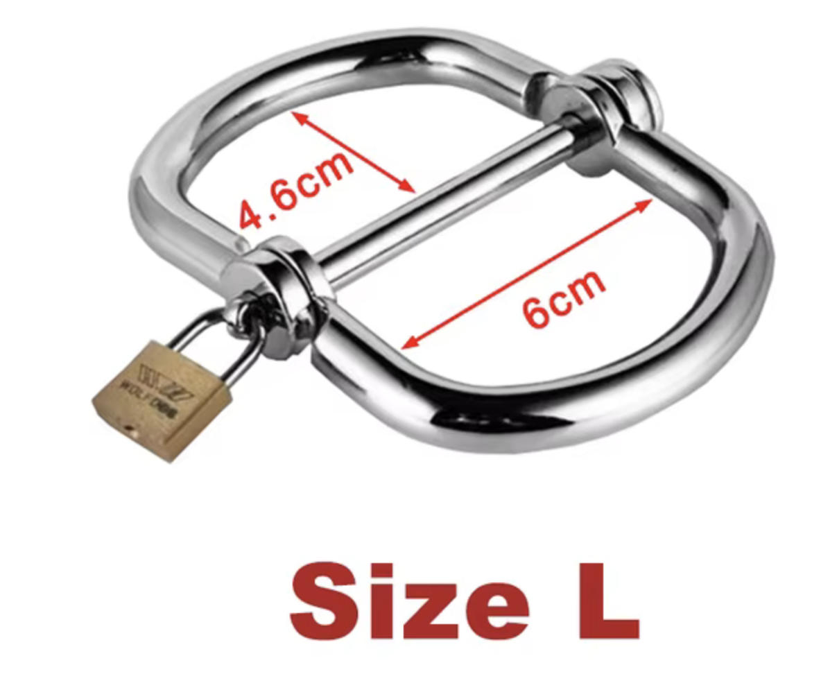 Image 2-25-26 at 10.33 PM.png