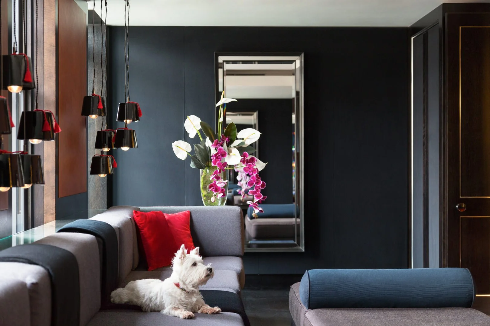 mayfair-suites-1bed-6.jpg