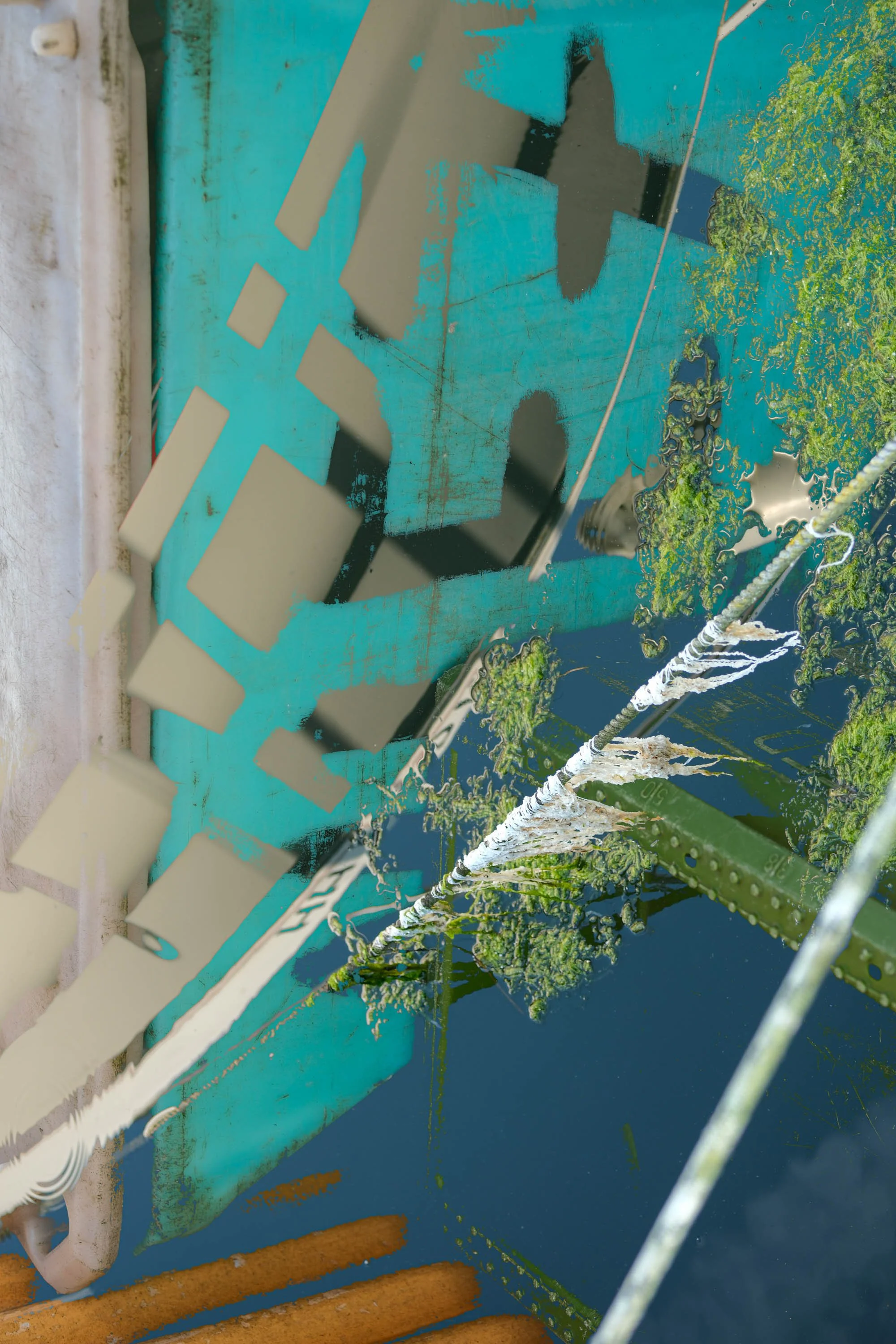 DSCF9634.jpg