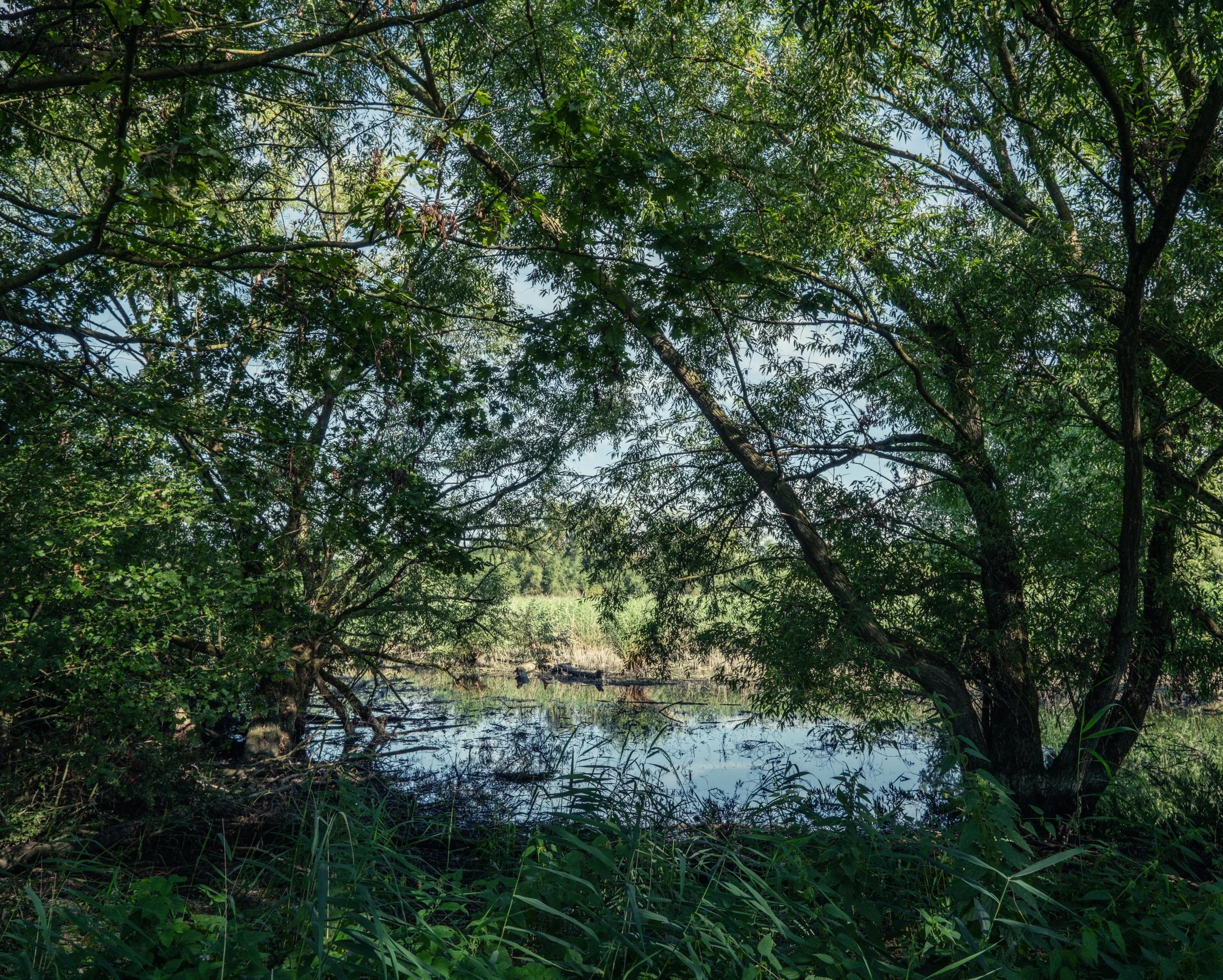 DSCF4111.jpg