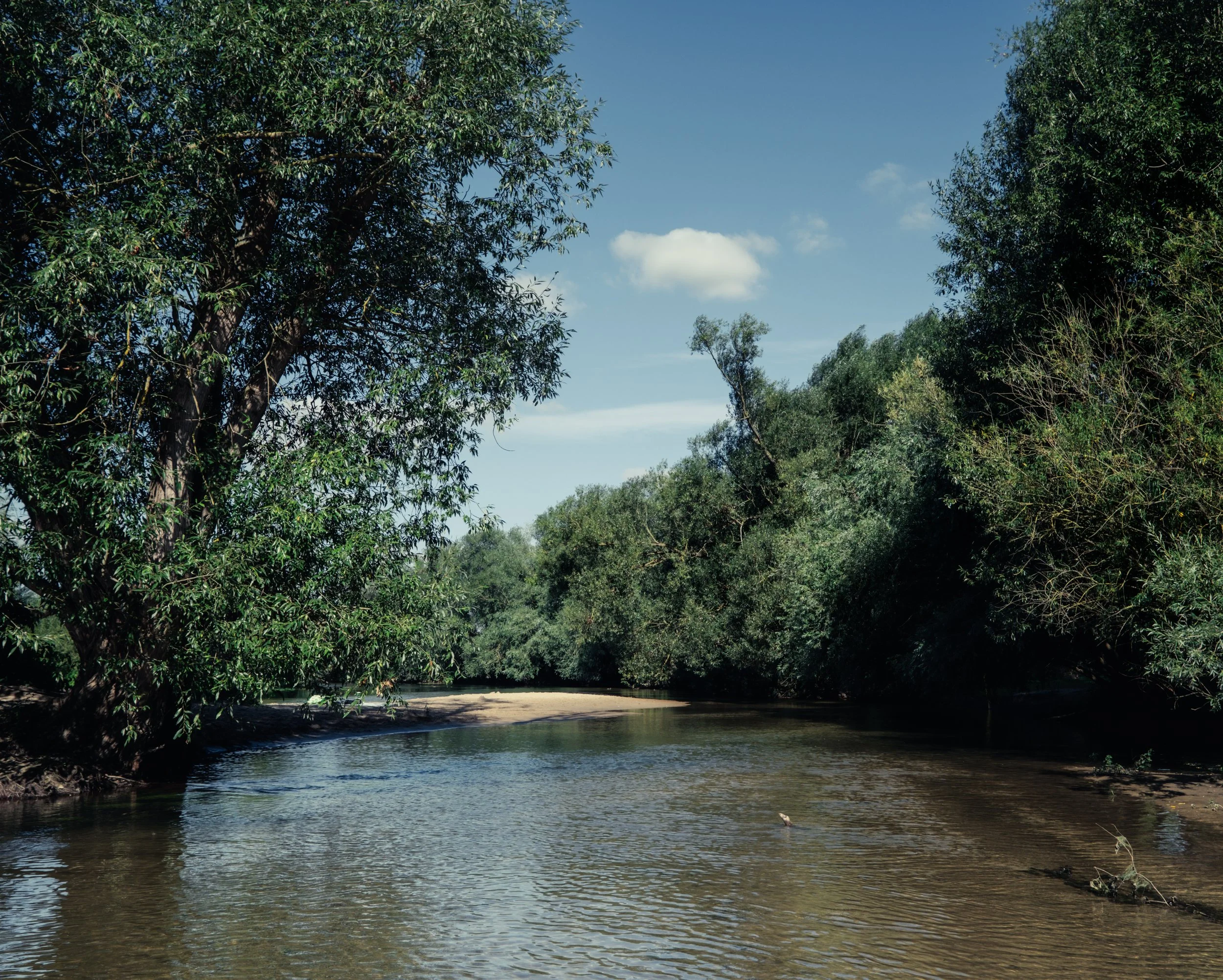 DSCF4060.jpg