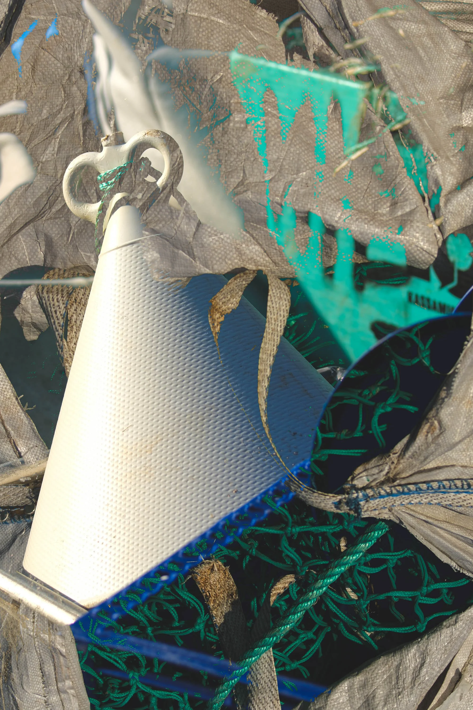 DSCF9629.jpg
