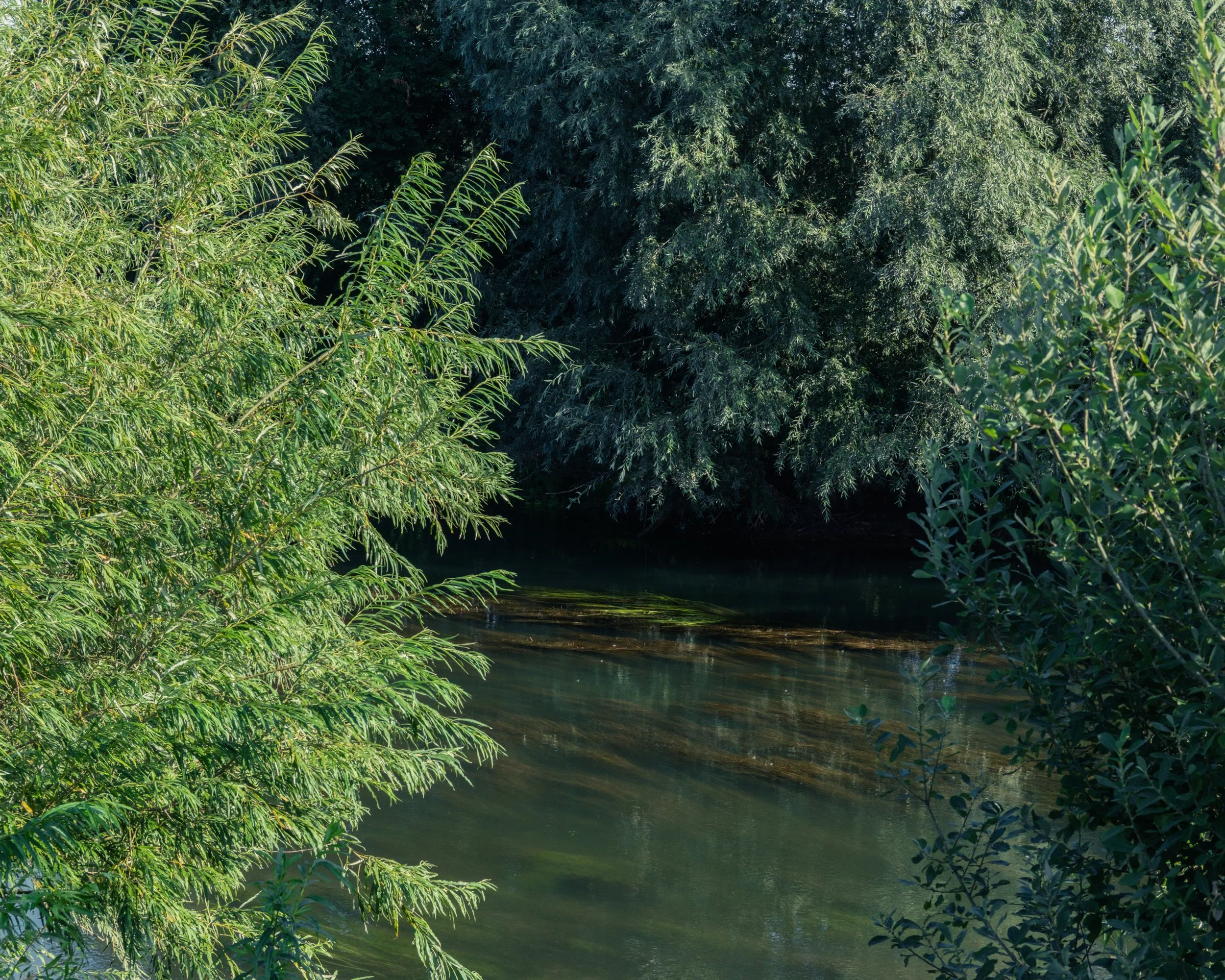 DSCF4084.jpg
