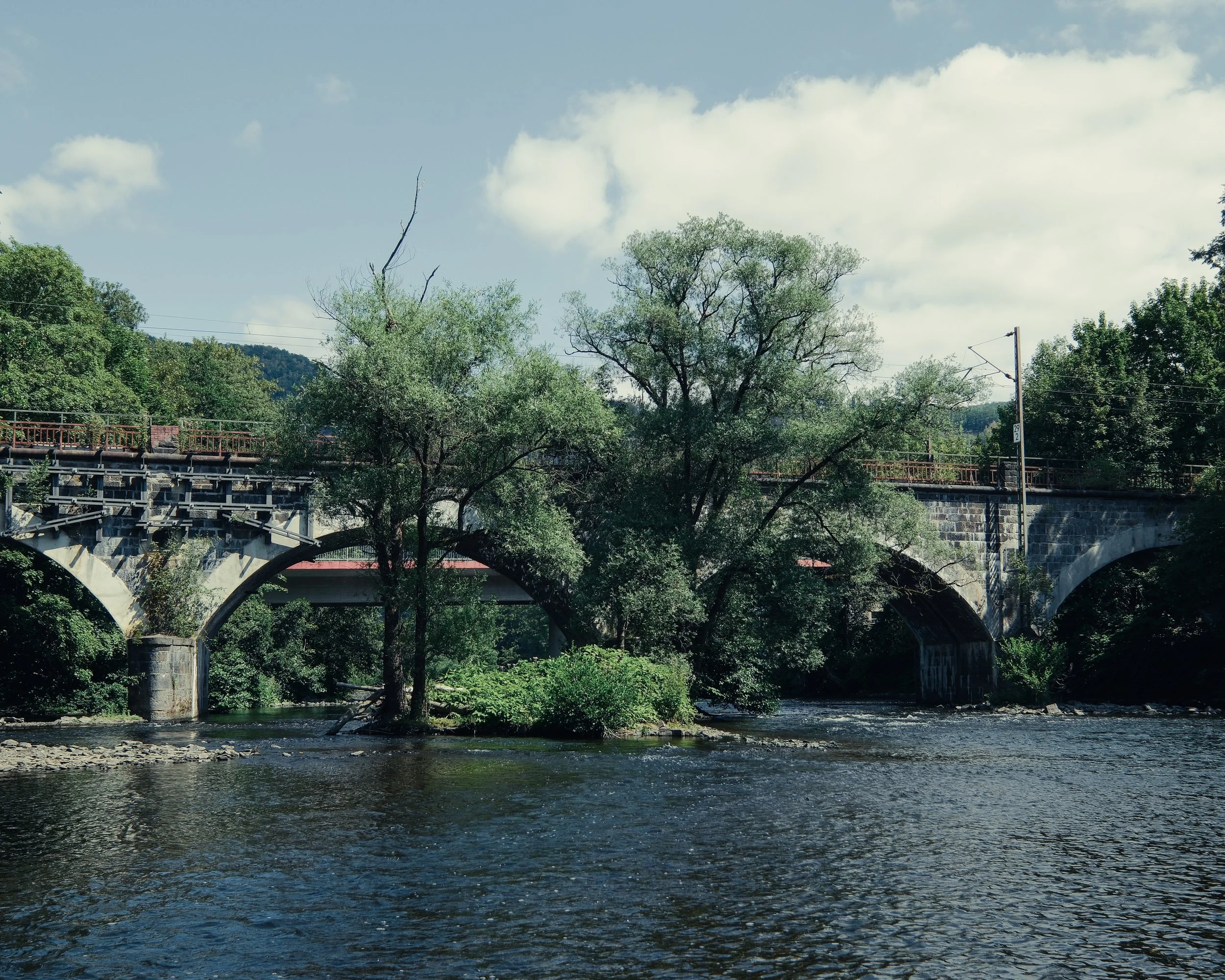 DSCF3813.jpg