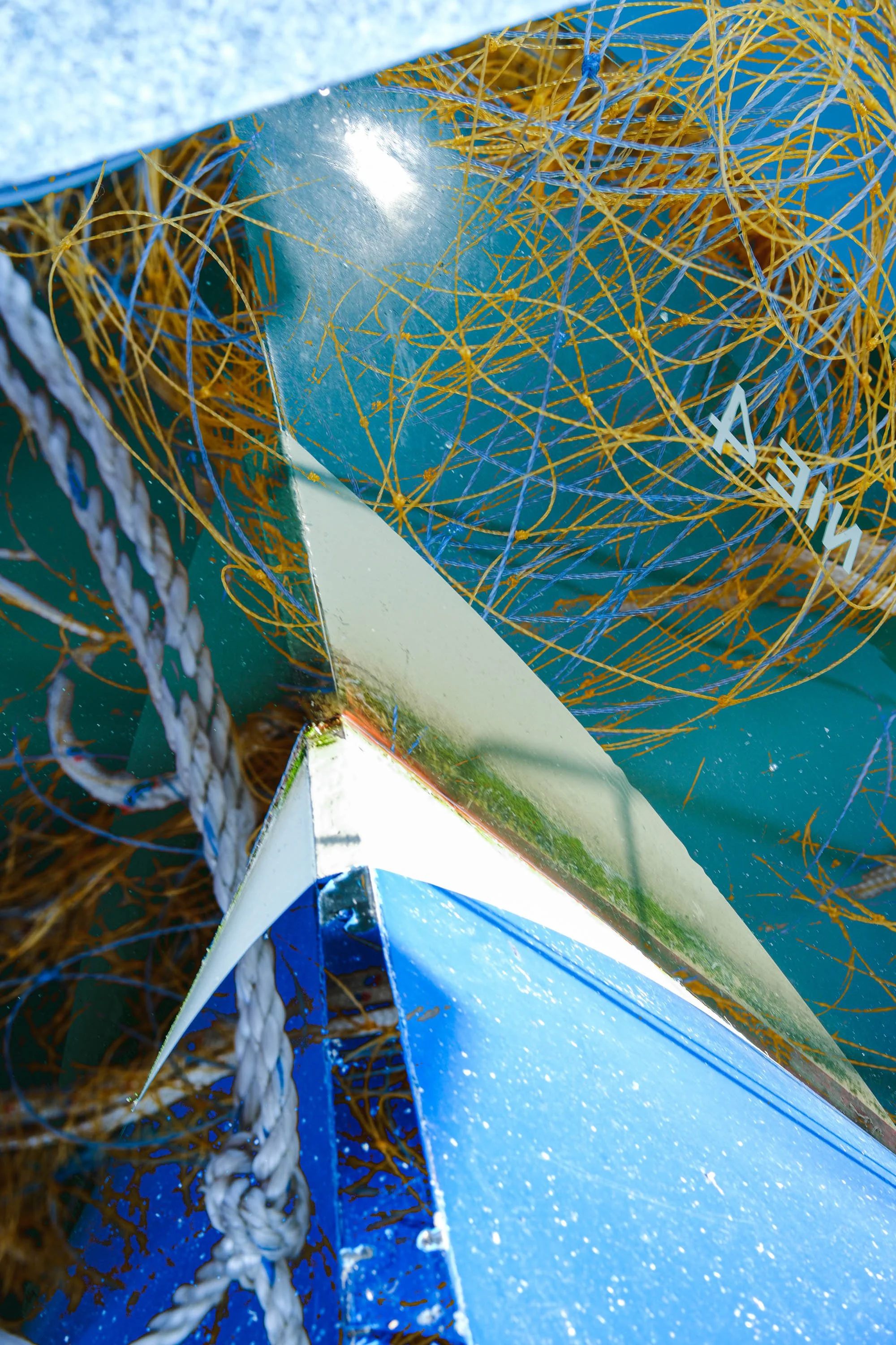 DSCF9636.jpg