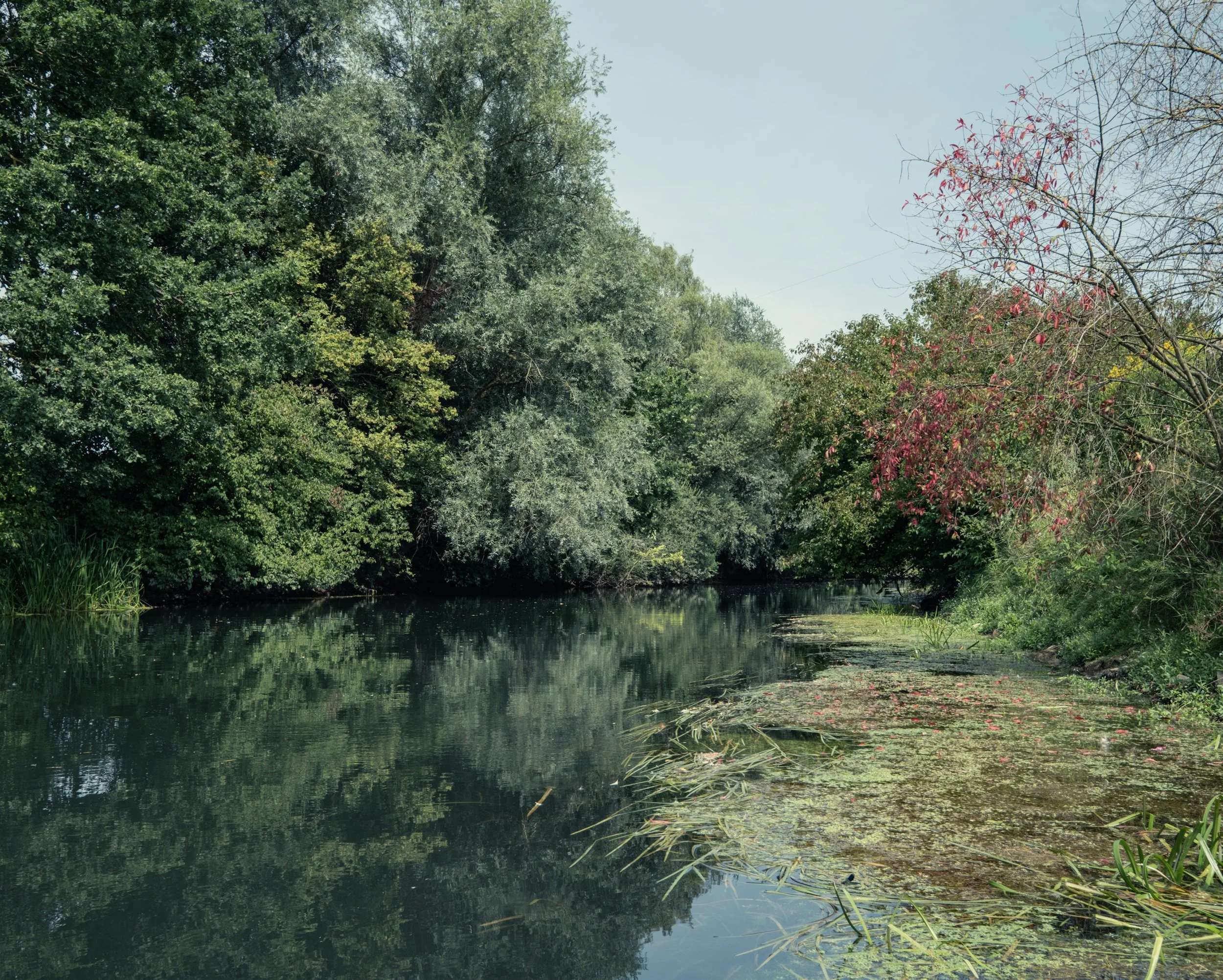 DSCF3981.jpg