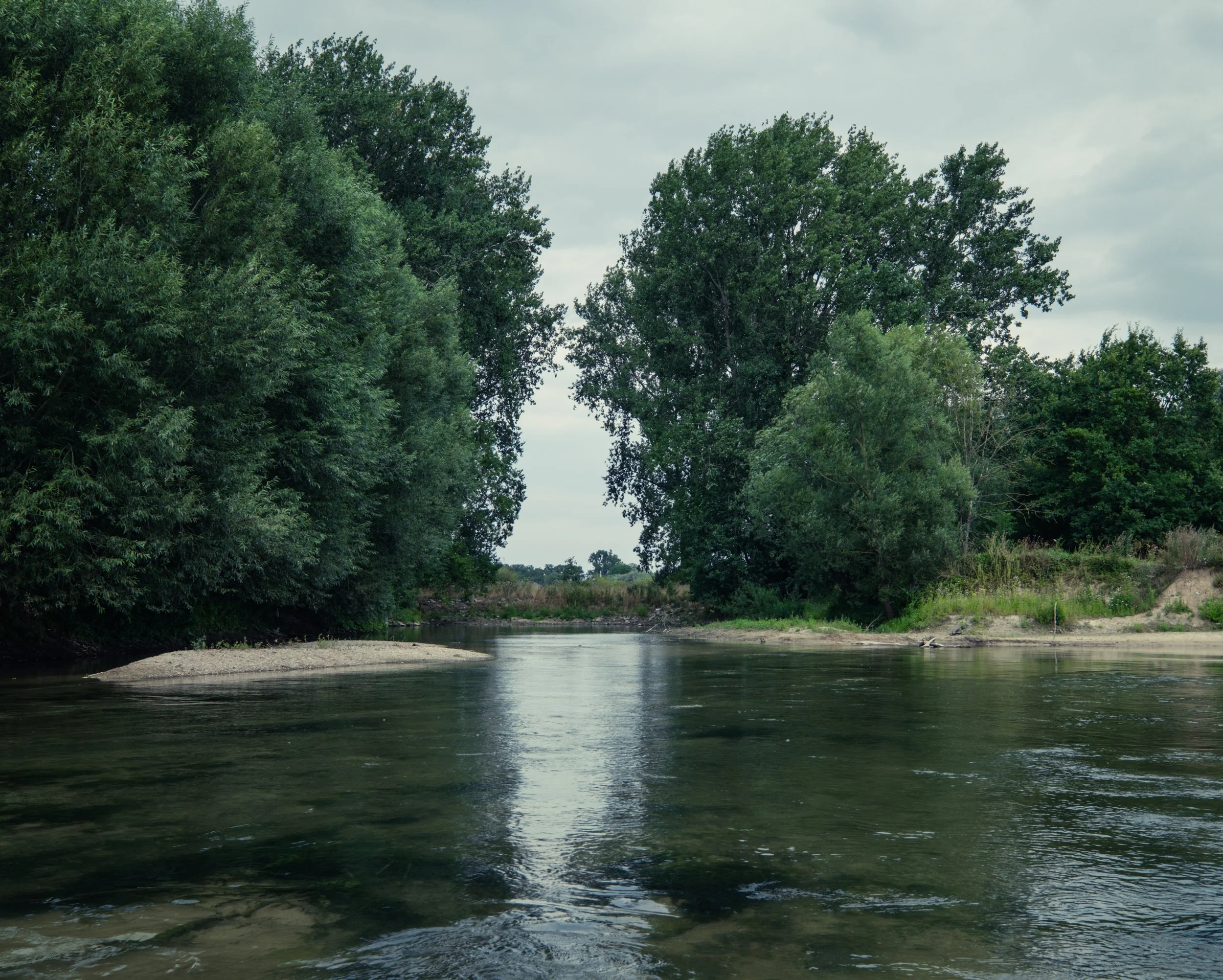 DSCF4149.jpg