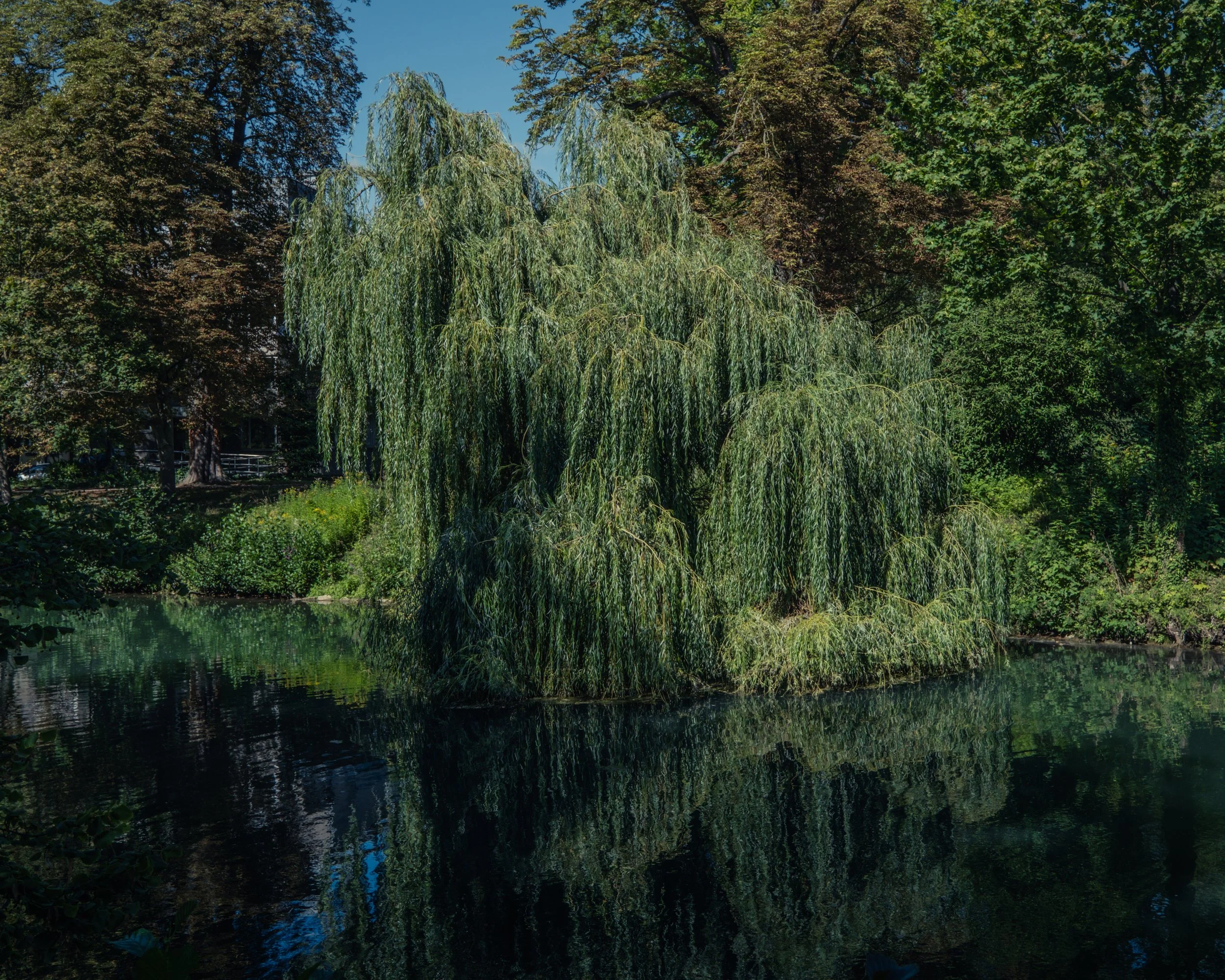 DSCF4409.jpg