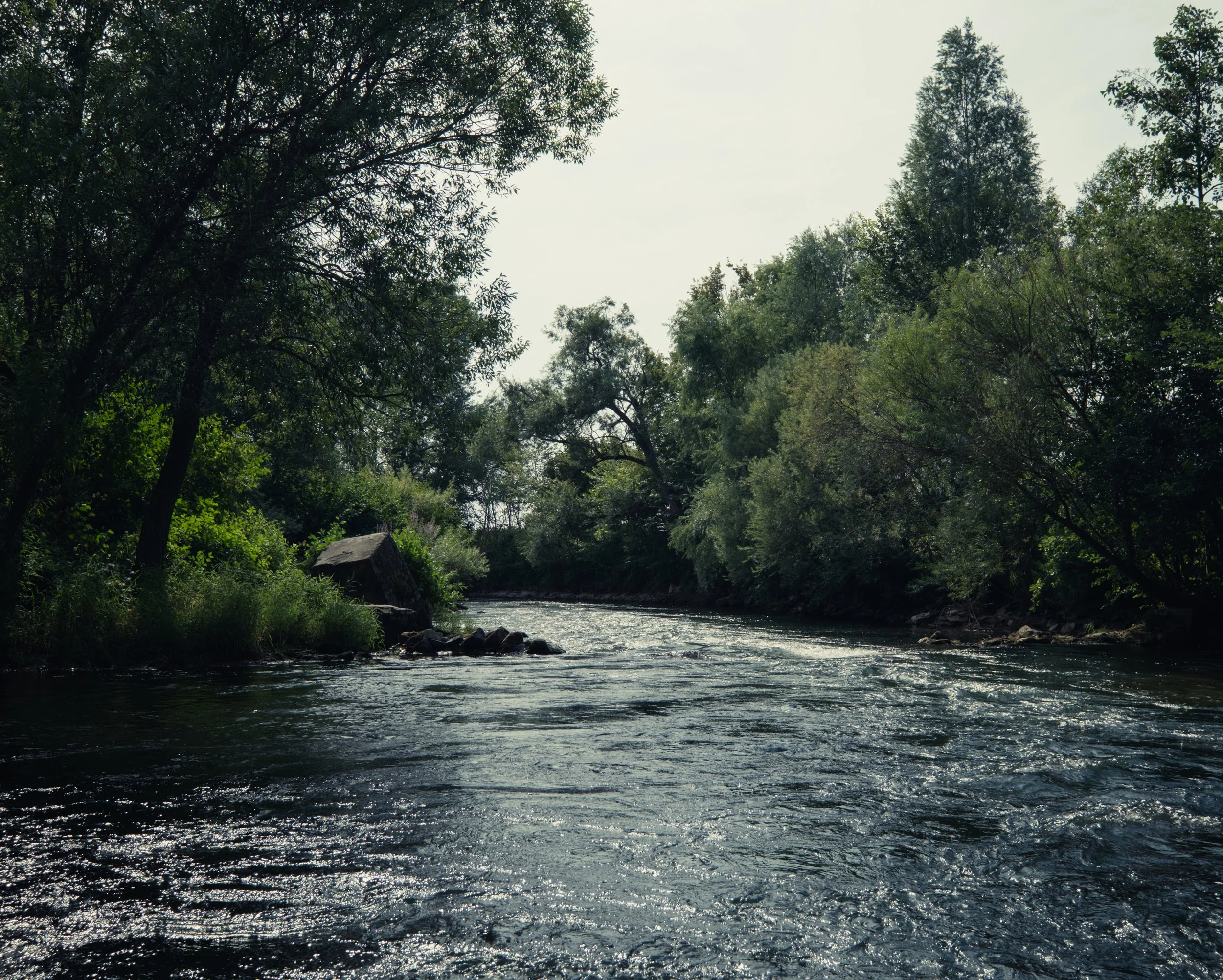 DSCF4031.jpg