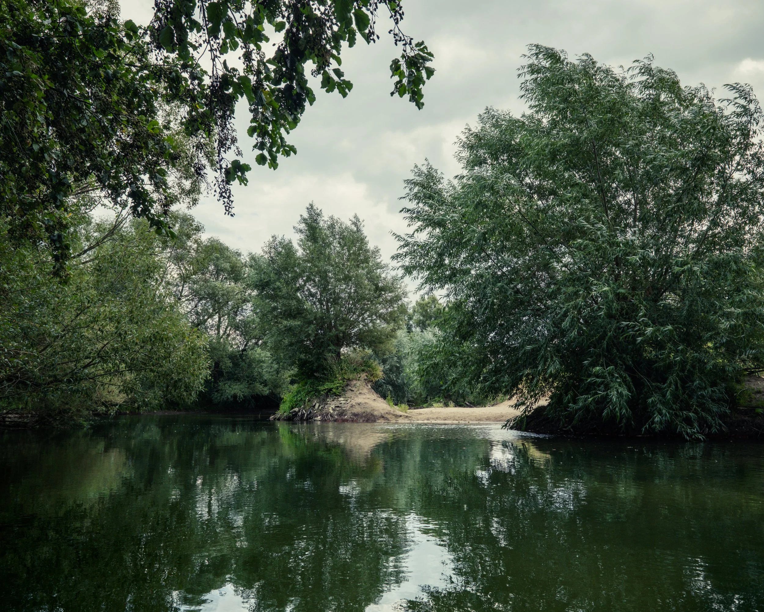 DSCF4129.jpg