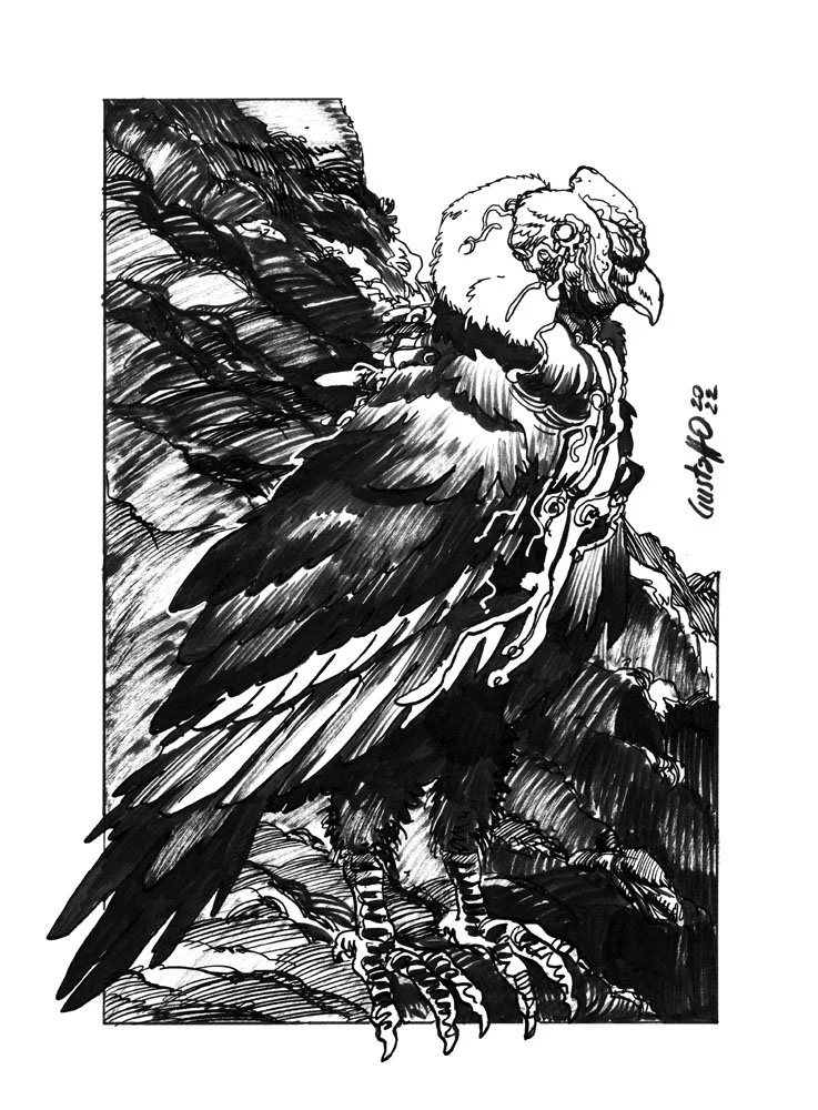 PILCUYO condor.jpg