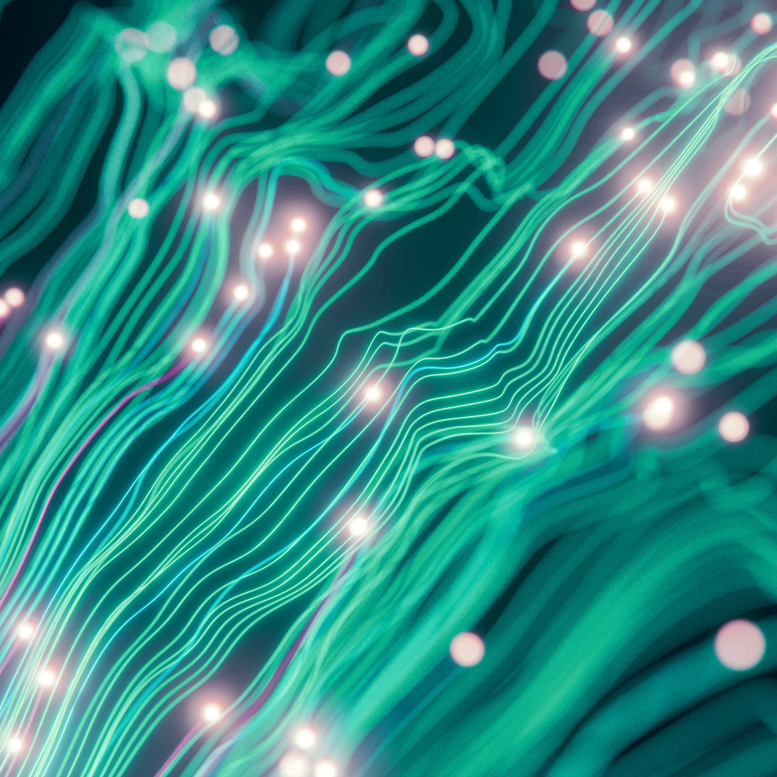 AI & Data Intelligence Services