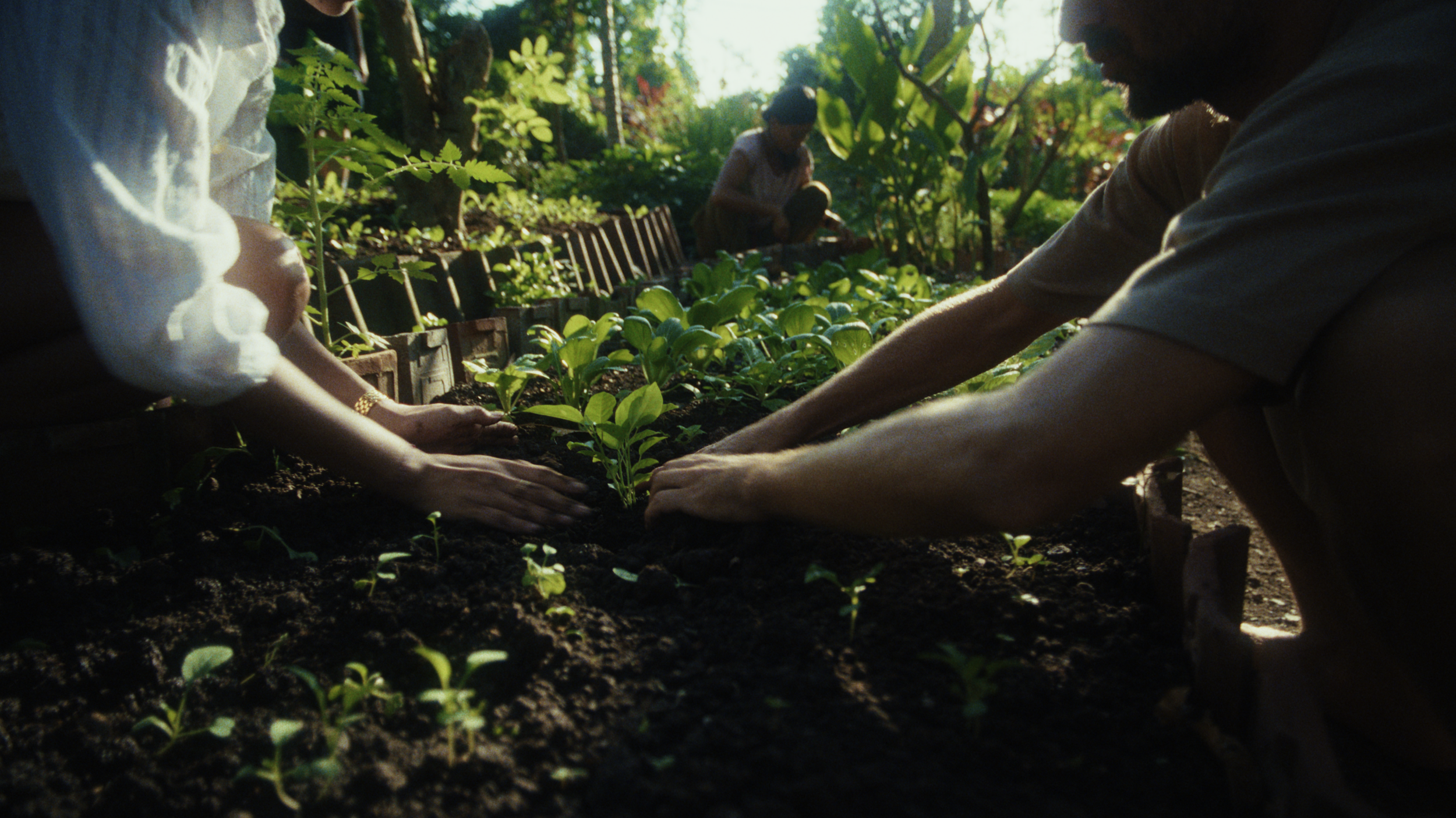 Storm Elfrink - Gardening