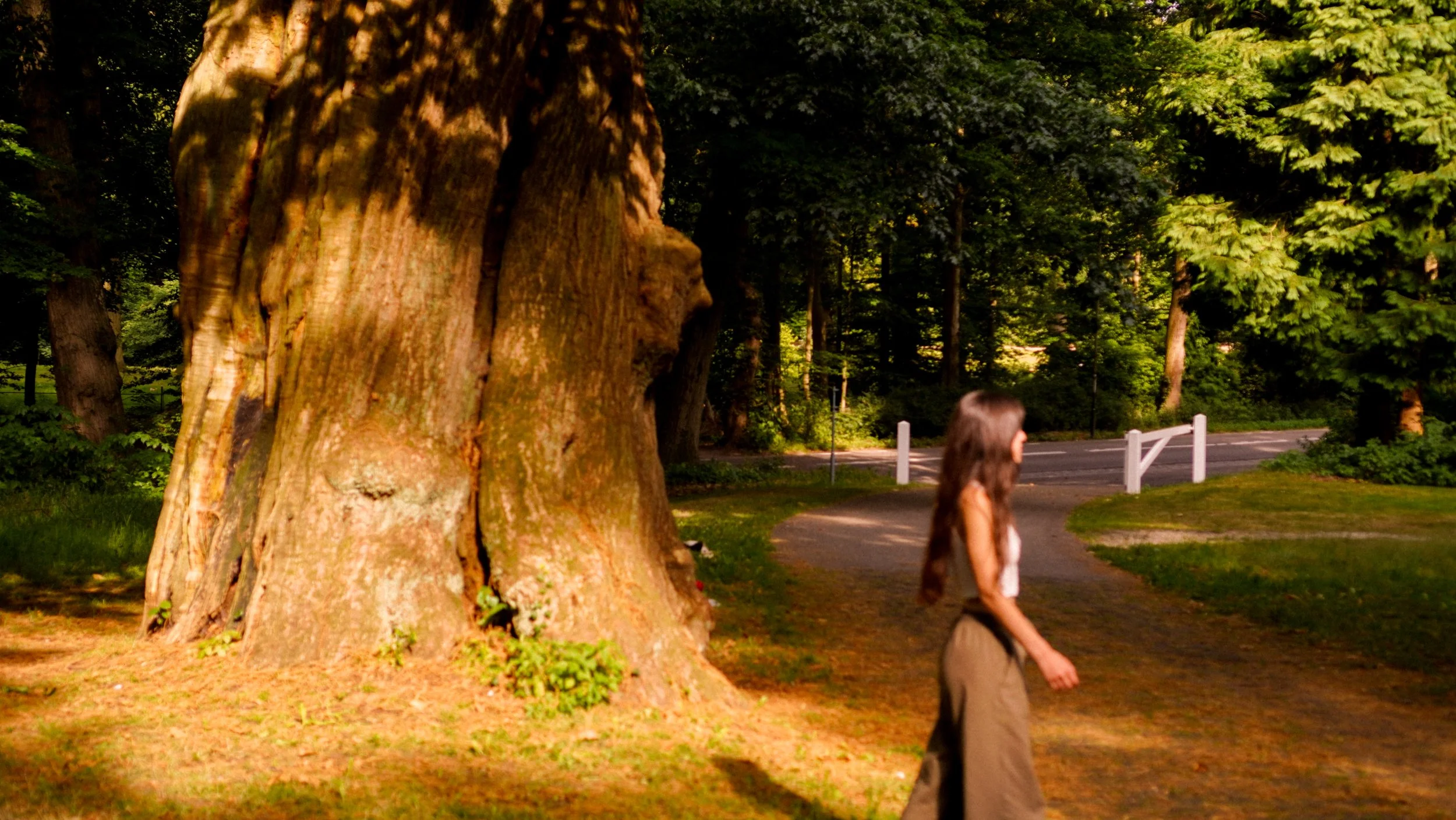 A girl walking past a large tree in a park, with trees and a street in the background.