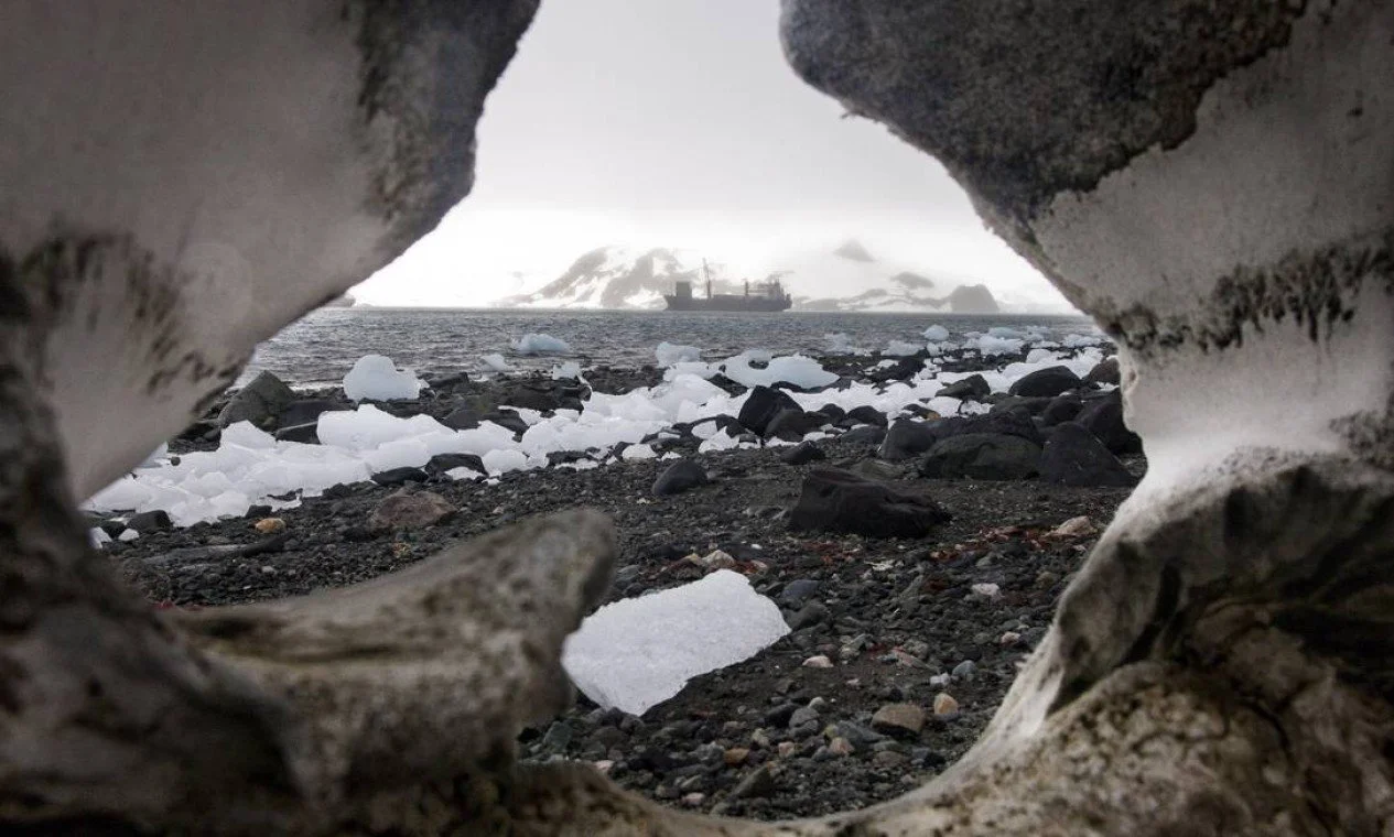 dani_antartica2.jpg