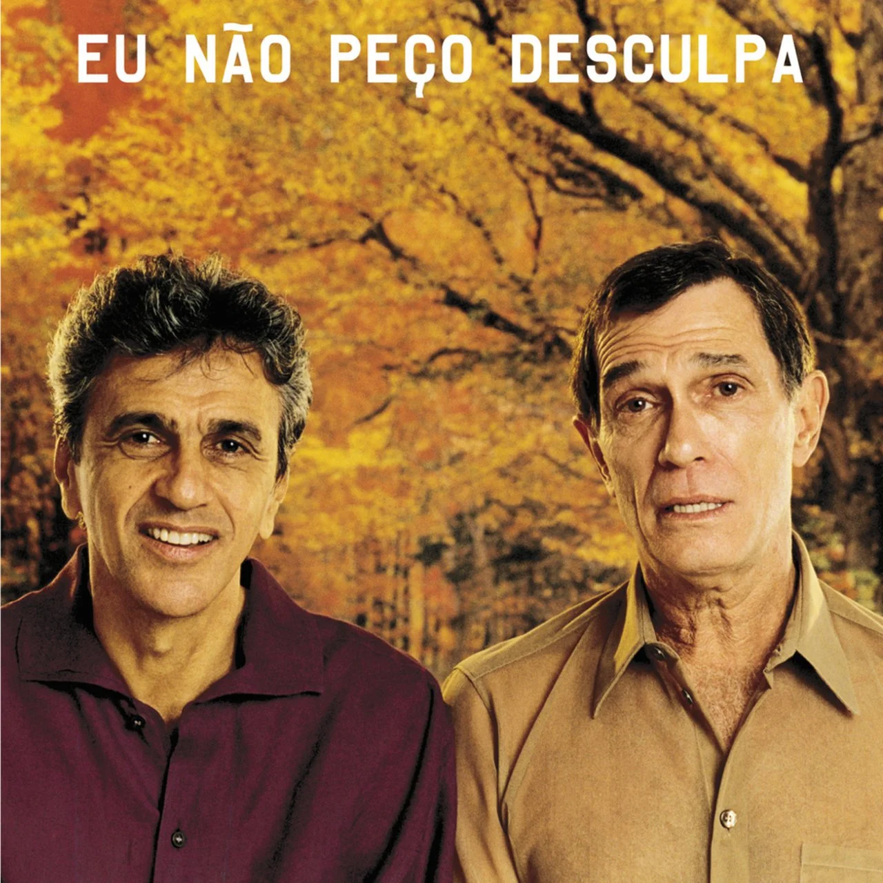 danidacorso5.jpg