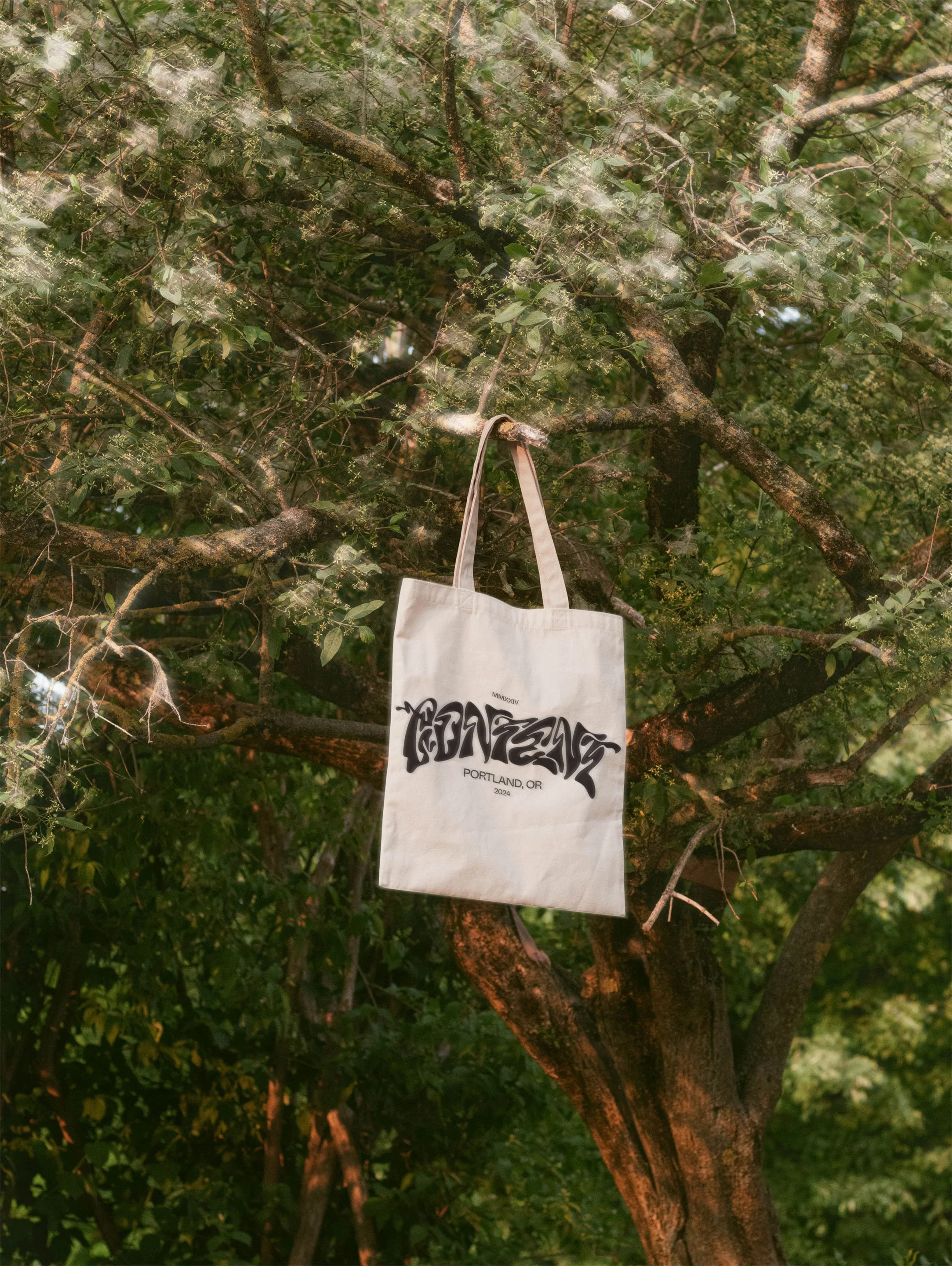 content-bag.jpg