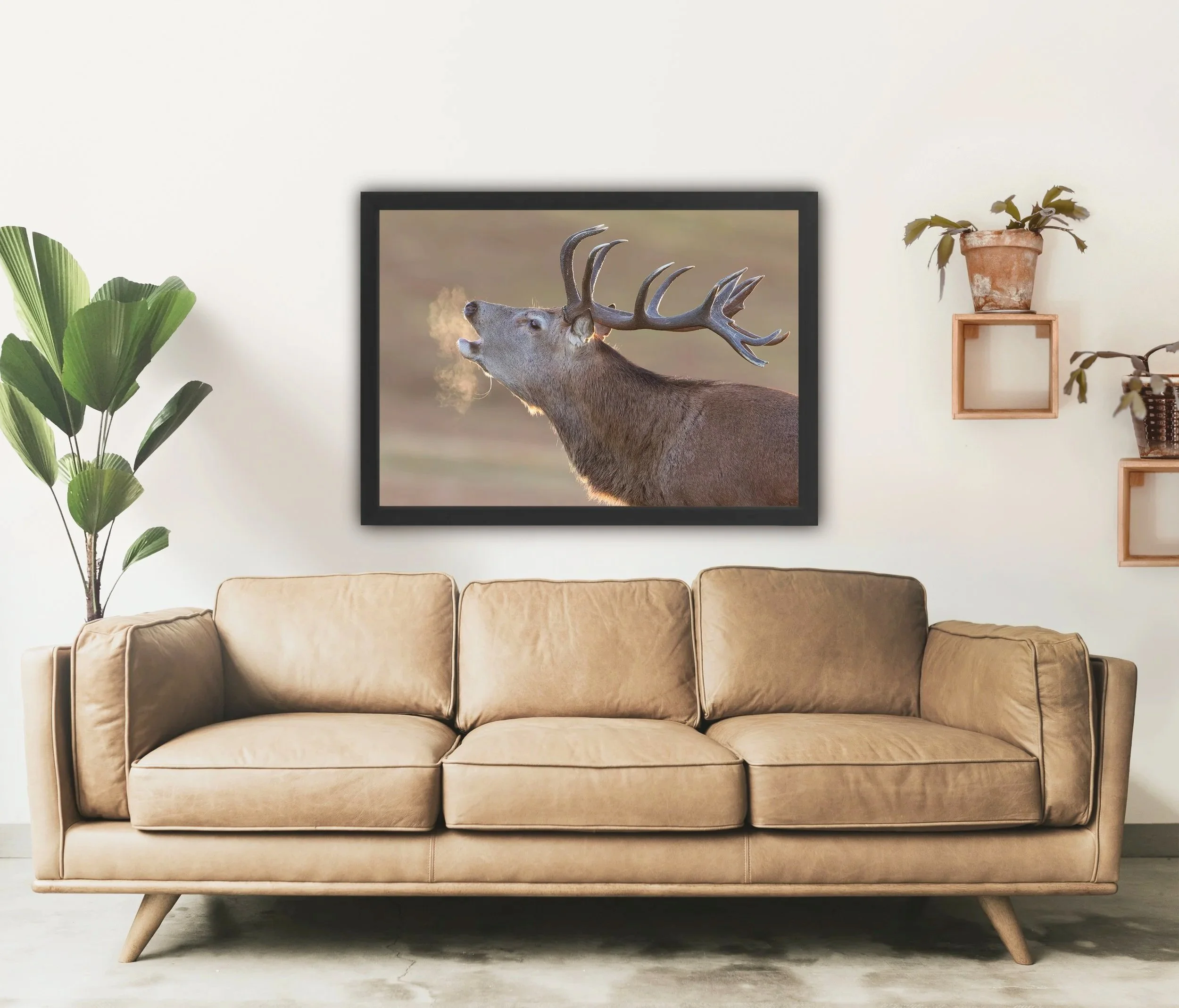 Living room with a beige sofa, a framed photo of a red deer stag on the wall, a tall green houseplant on the left, and a wooden shelf on the right with potted plants.