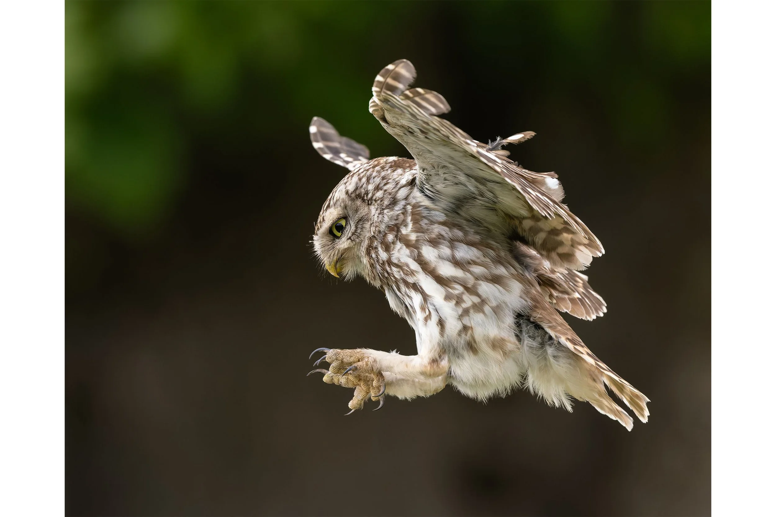 Final Approach