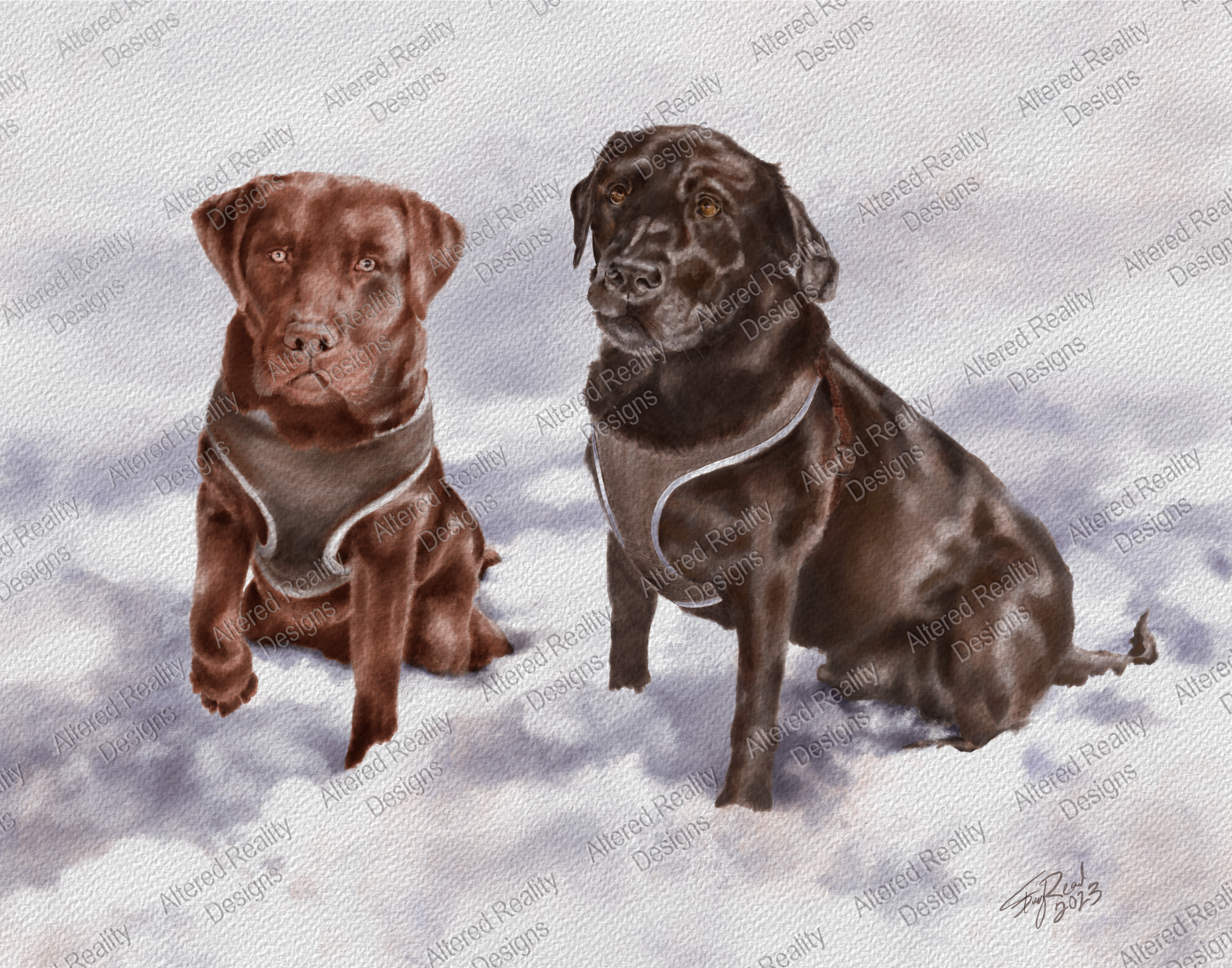 Two dogs sitting on snowy ground, one brown and the other black with brown markings, both wearing harnesses, against a cloudy sky.