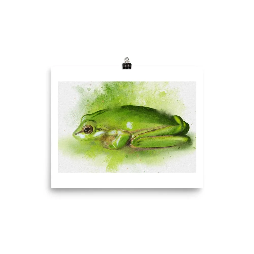 enhanced-matte-paper-poster-(in)-8x10-transparent-676f651a6540e.jpg
