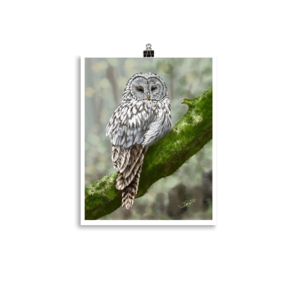 enhanced-matte-paper-poster-(in)-11x14-transparent-676f6b6536b37.jpg