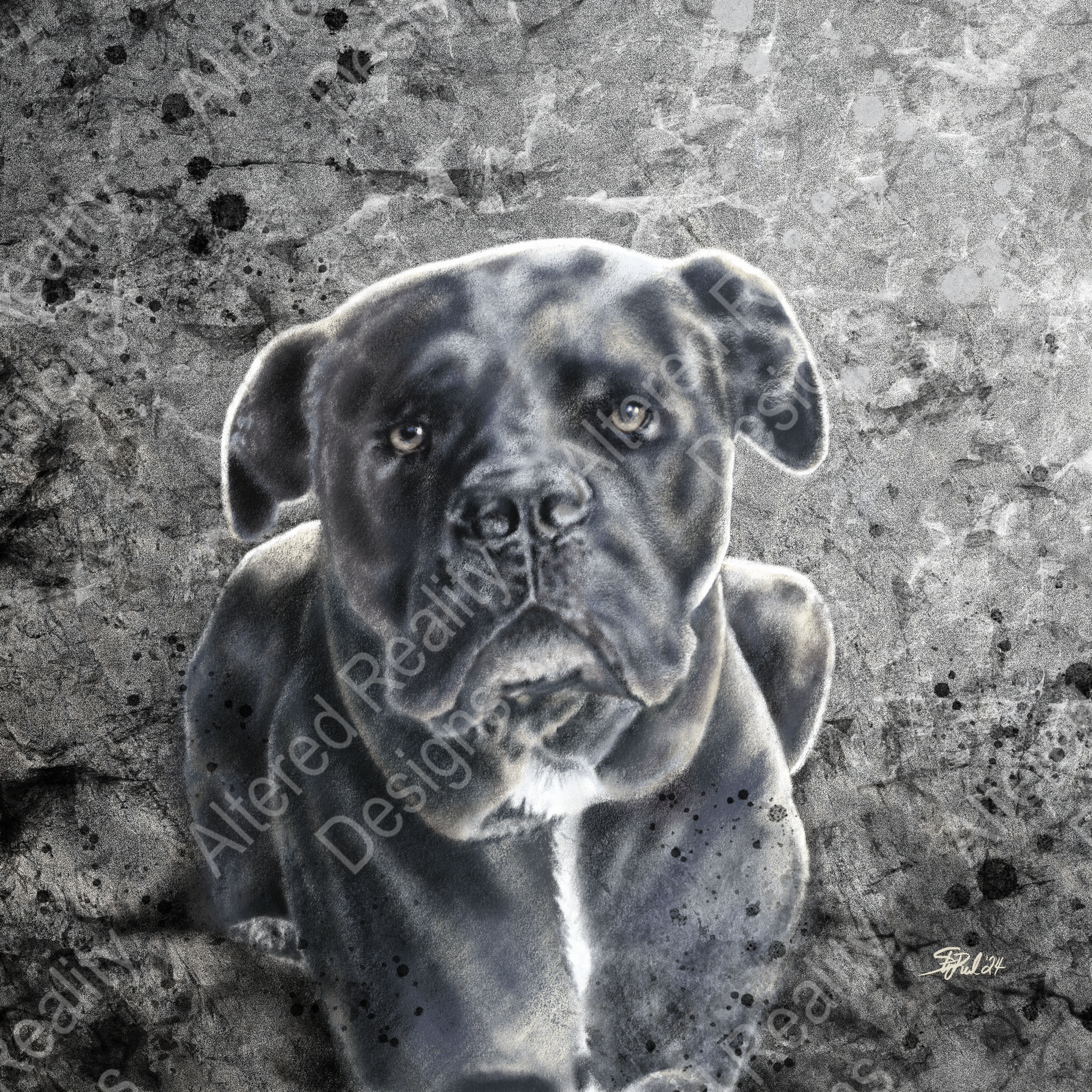 Black puppy with yellow eyes sitting on a textured gray background.