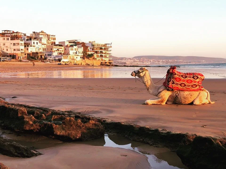 Flow into Morocco: A Desert-to-Sea Spring Reset Retreat